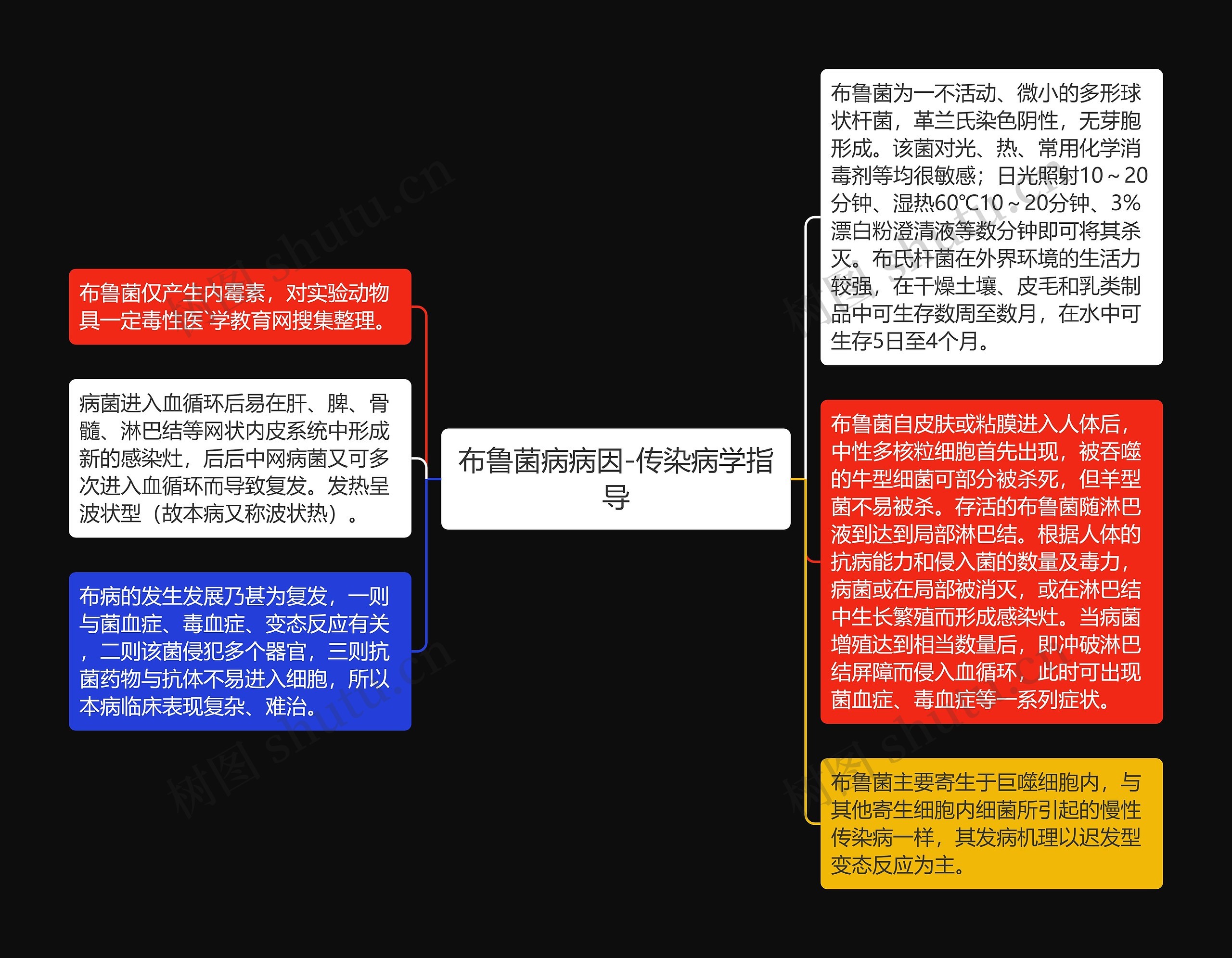 布鲁菌病病因-传染病学指导思维导图