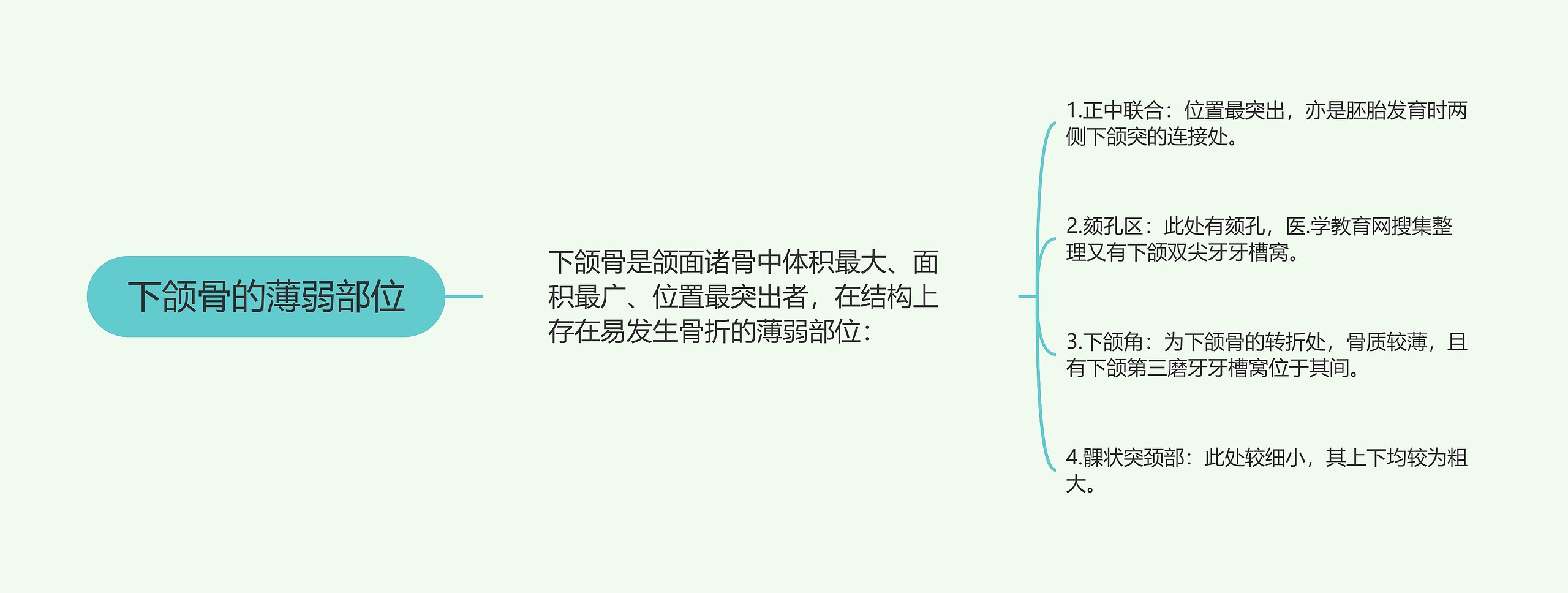 下颌骨的薄弱部位思维导图