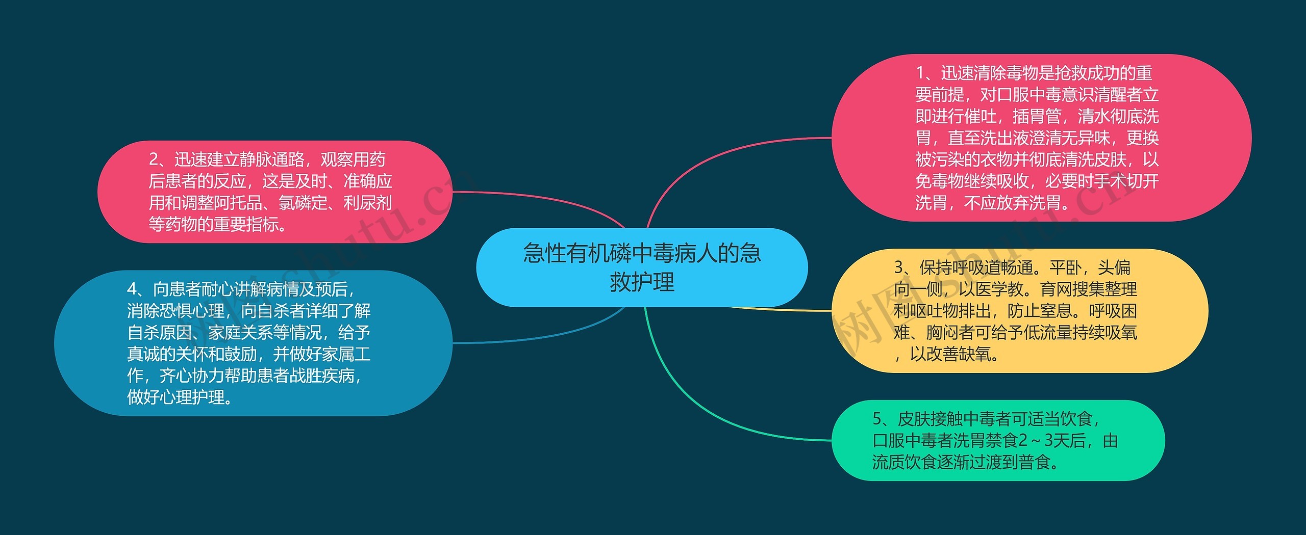 急性有机磷中毒病人的急救护理思维导图