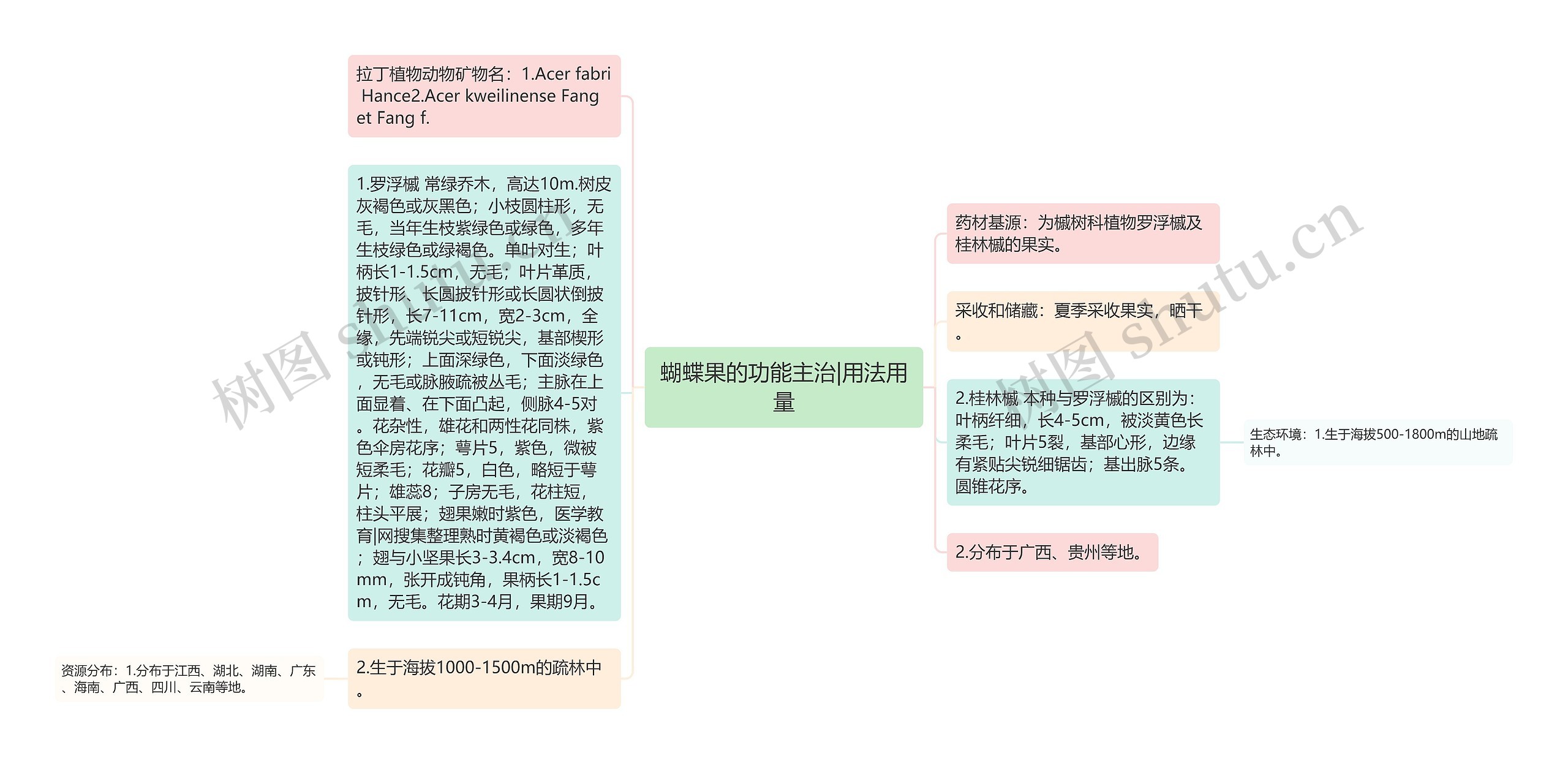 蝴蝶果的功能主治|用法用量