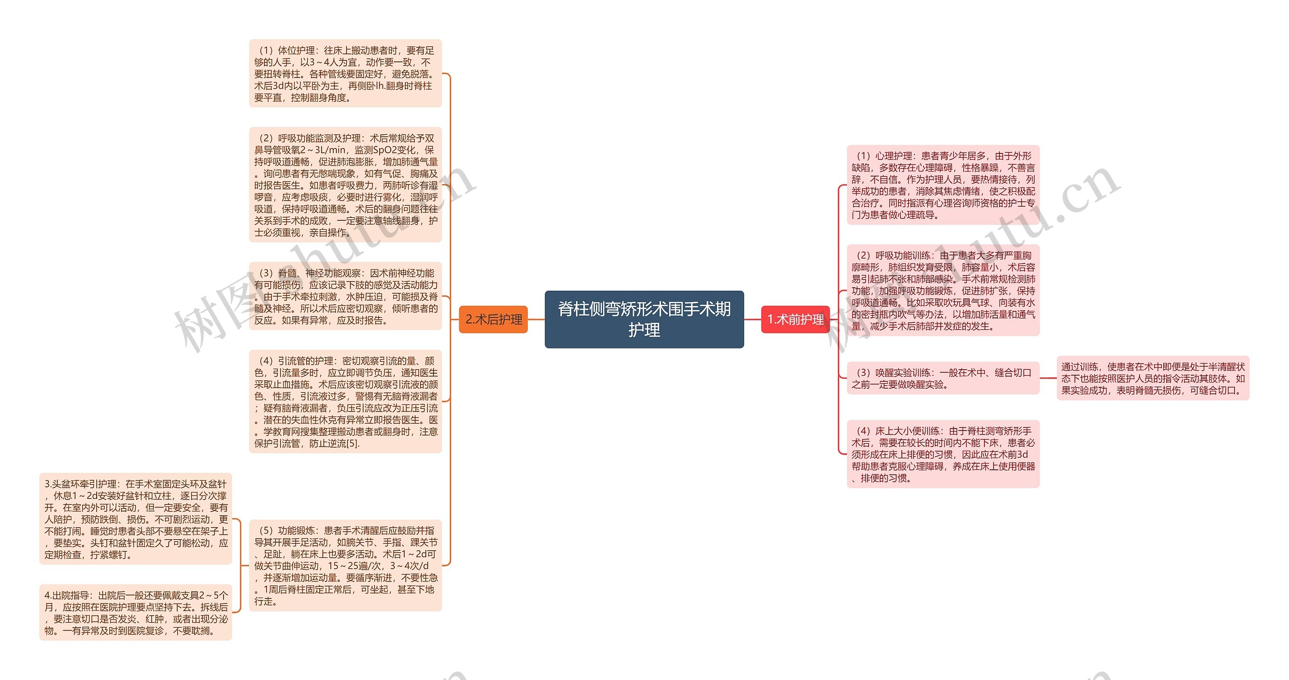 脊柱侧弯矫形术围手术期护理思维导图