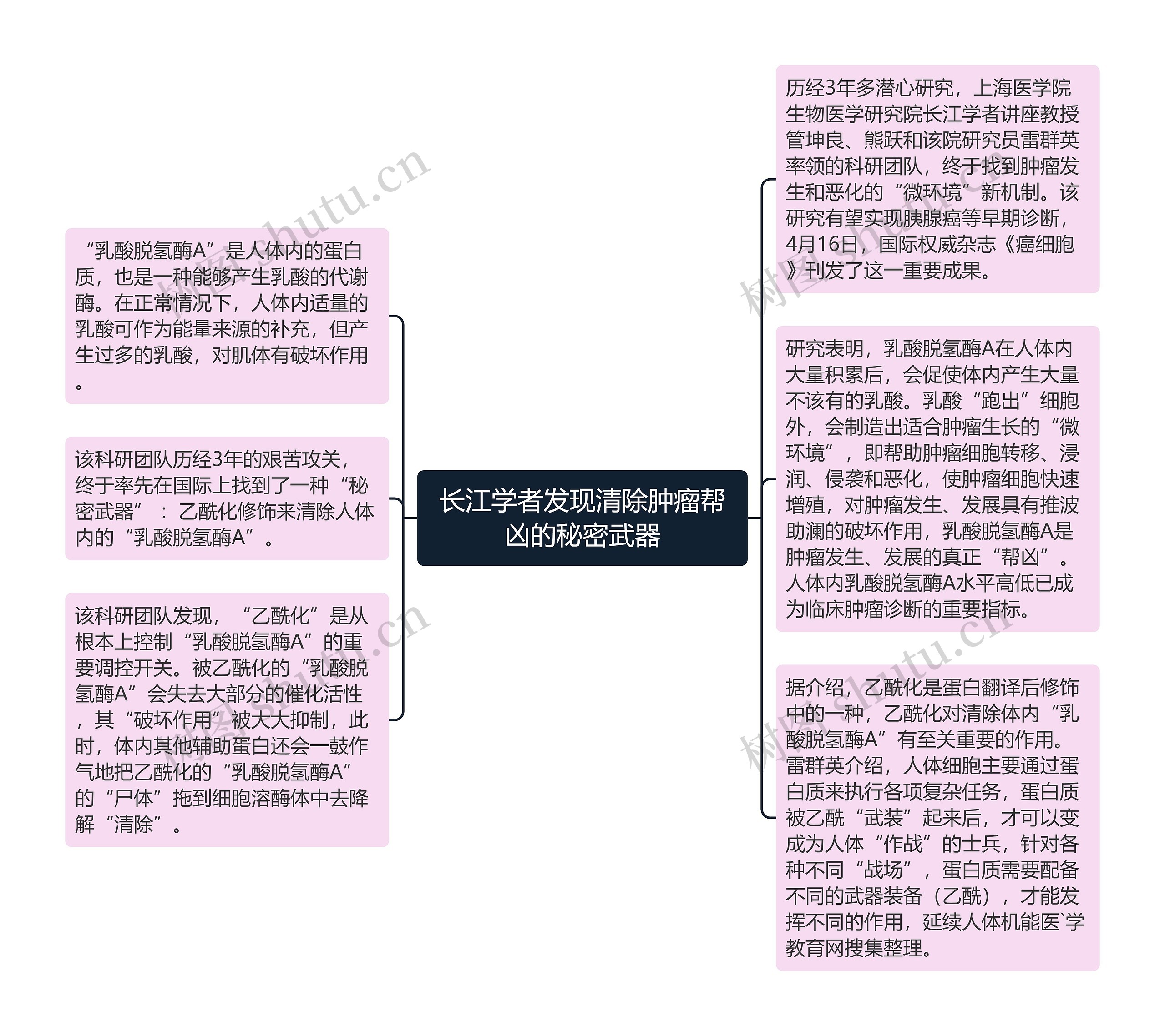 长江学者发现清除肿瘤帮凶的秘密武器思维导图