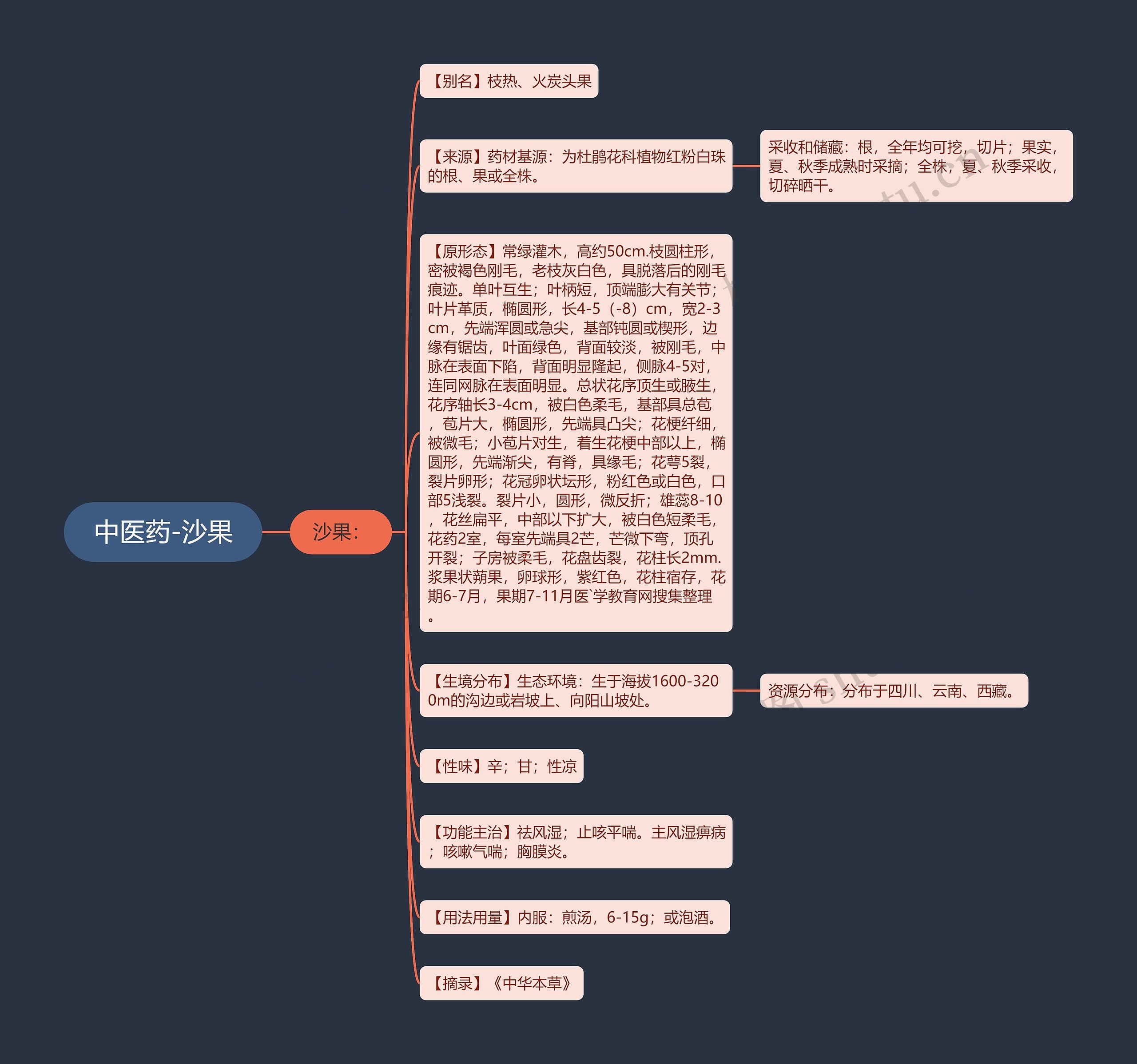 中医药-沙果 中医药-沙果