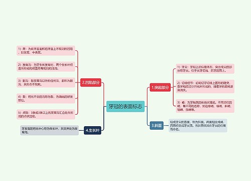 牙冠的表面标志思维导图