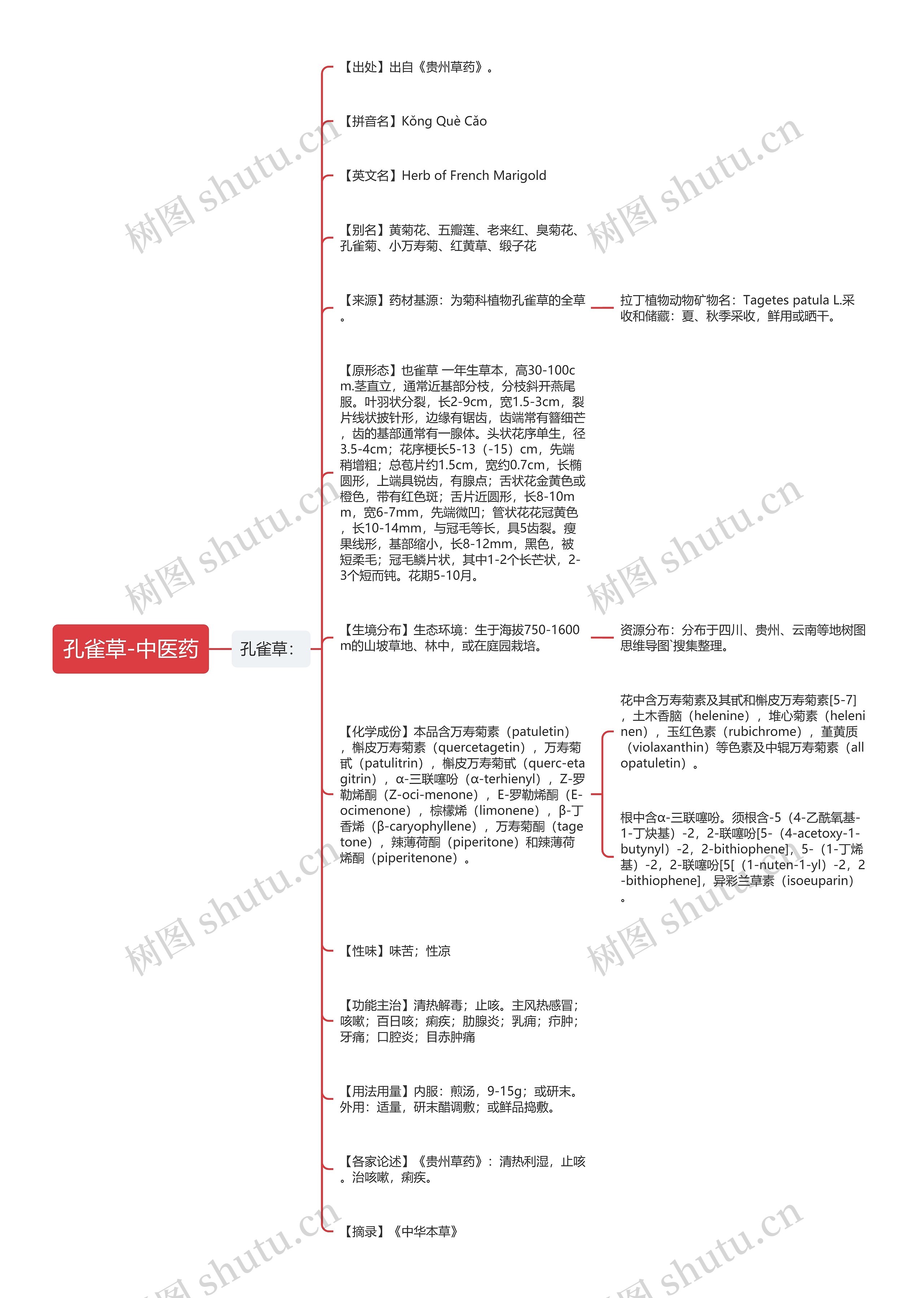 孔雀草-中医药思维导图