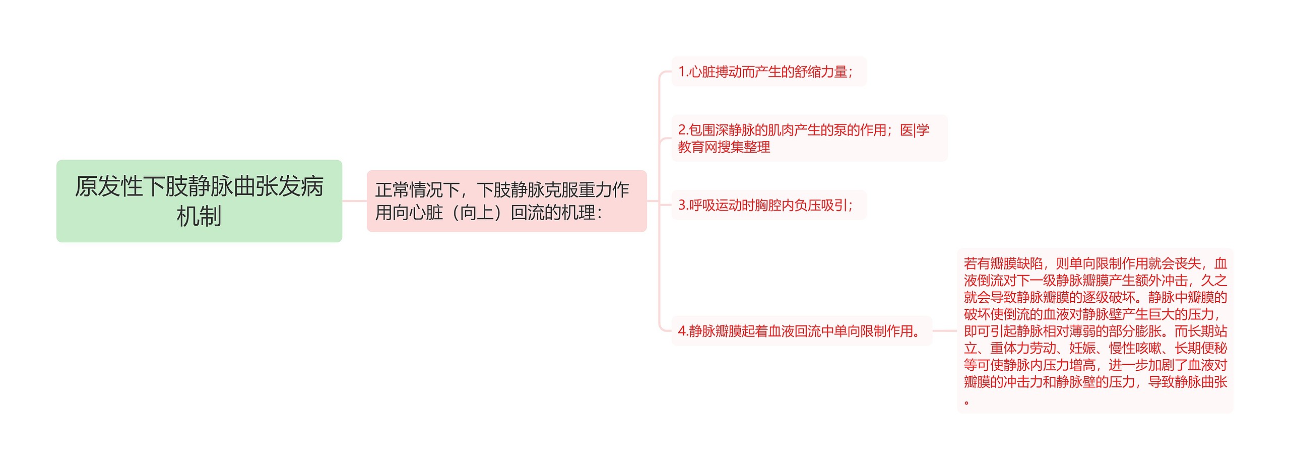 原发性下肢静脉曲张发病机制 原发性下肢静脉曲张发病机制