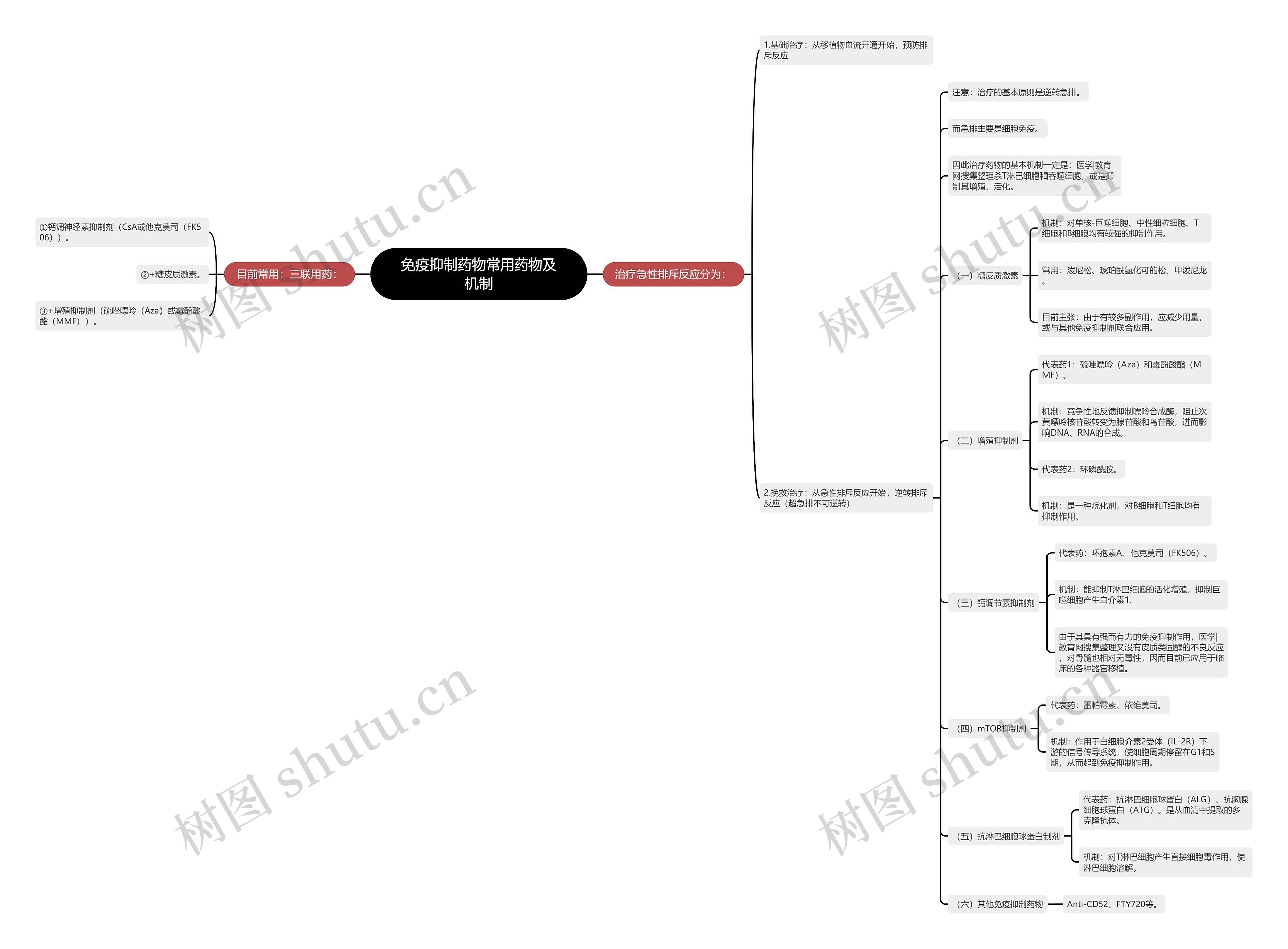 免疫抑制药物常用药物及机制思维导图高清图 免疫抑制药物常用药物及机制思维导图