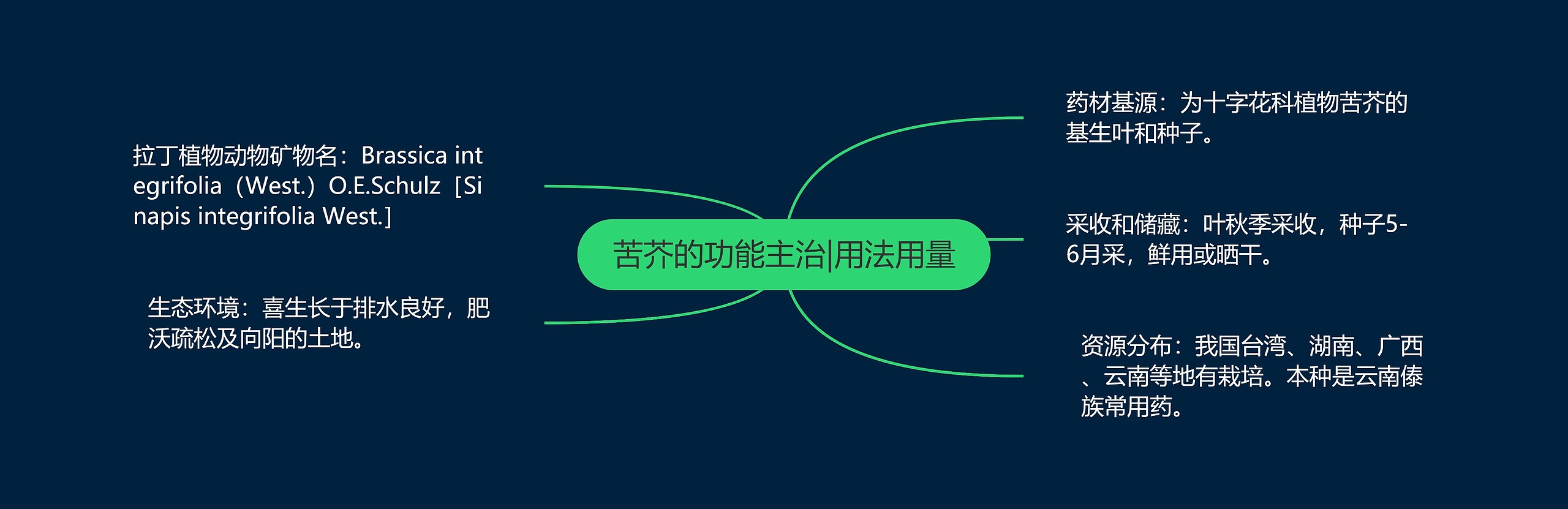 苦芥的功能主治|用法用量 苦芥的功能主治|用法用量