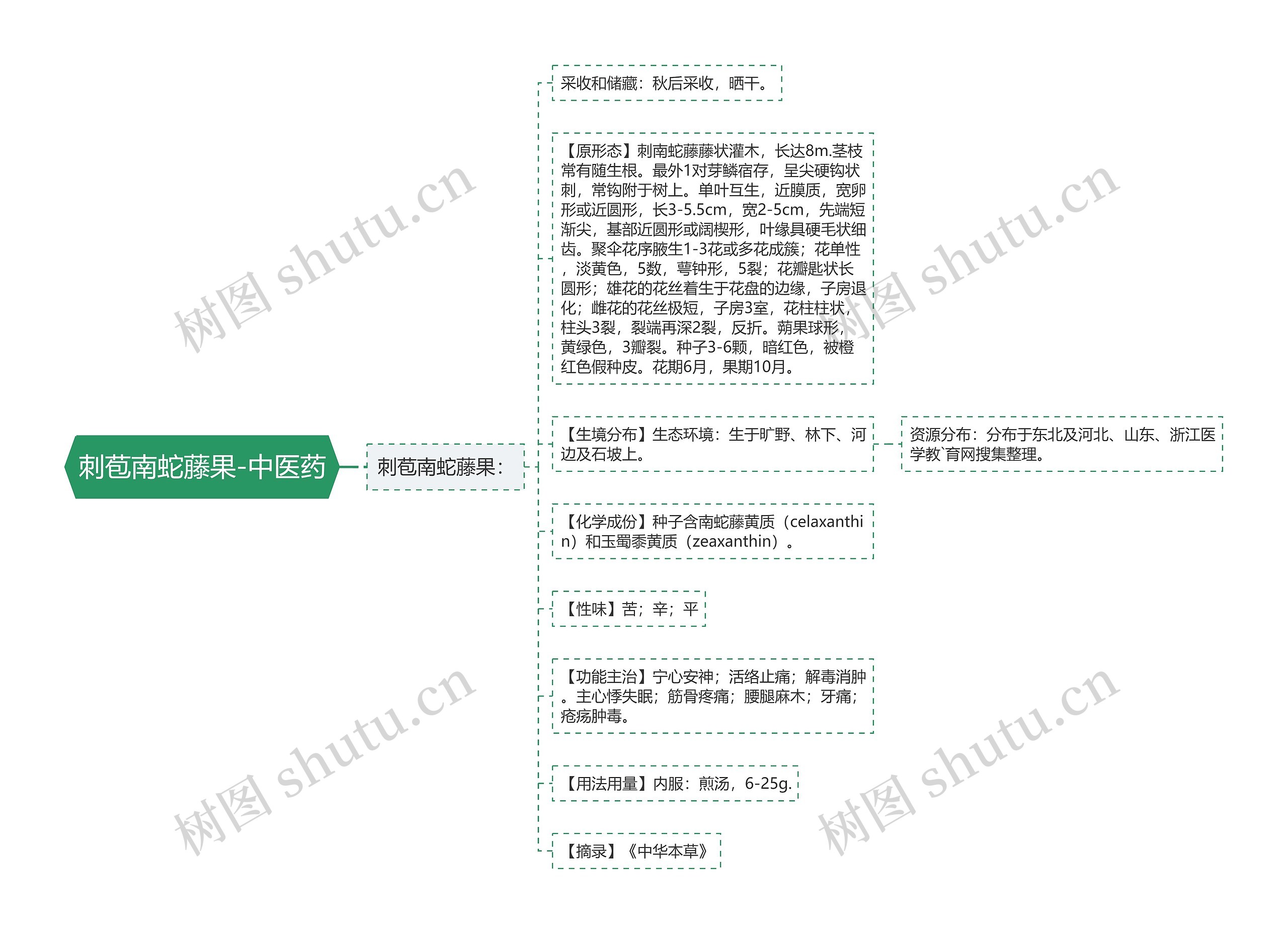 刺苞南蛇藤果-中医药思维导图