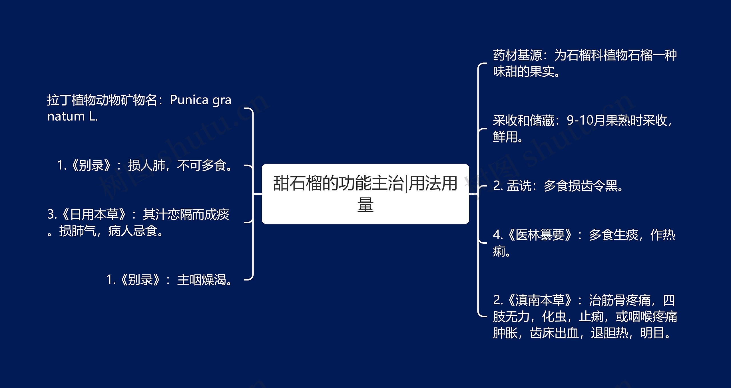 甜石榴的功能主治|用法用量思维导图