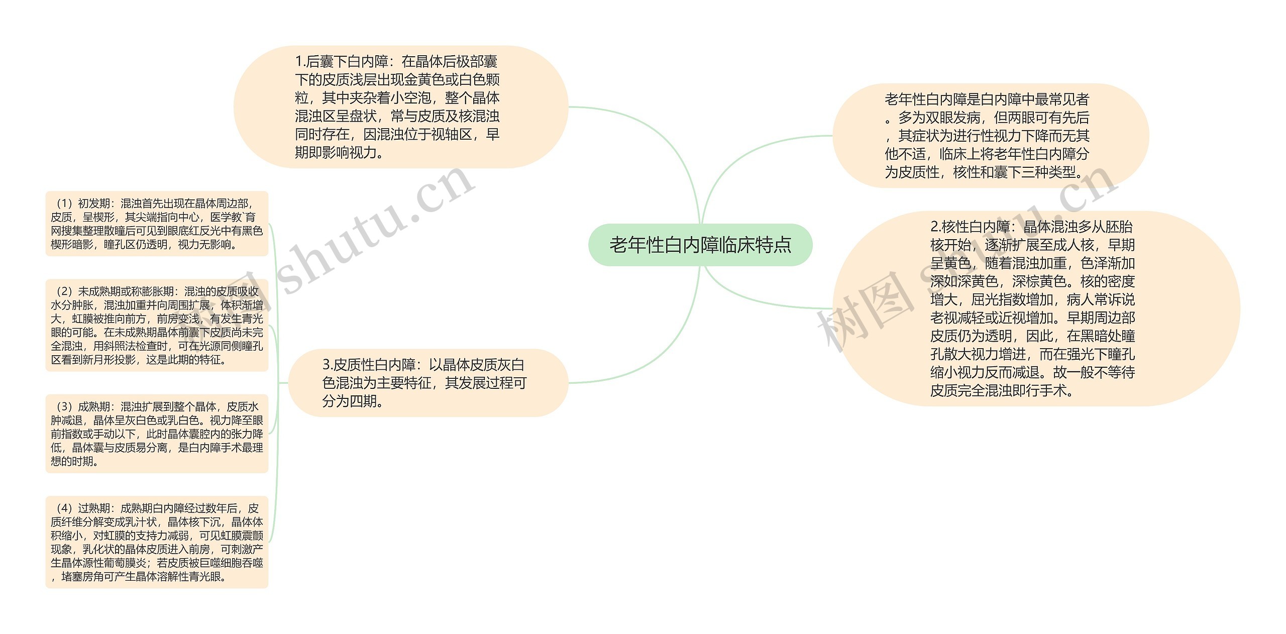 老年性白内障临床特点思维导图