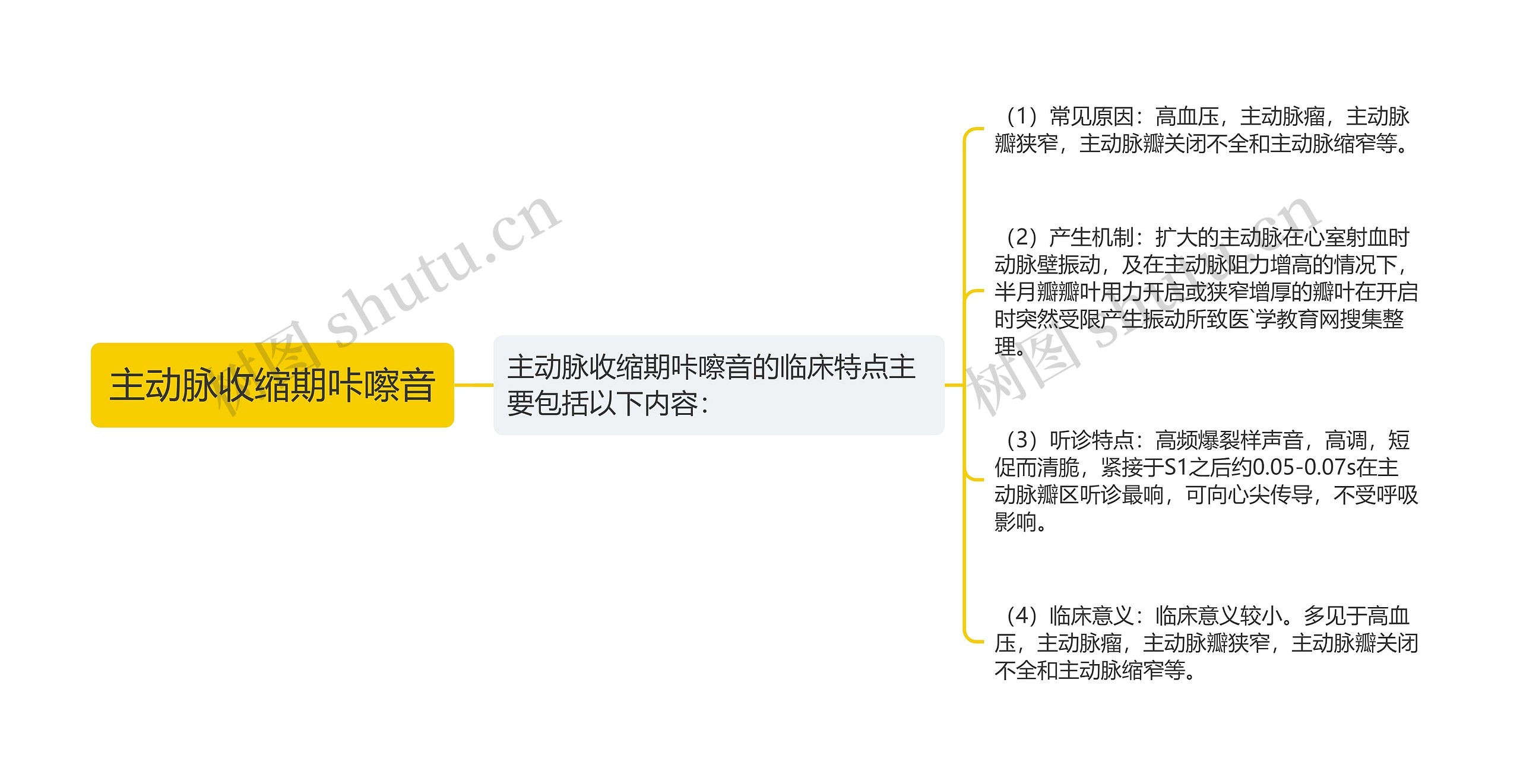 主动脉收缩期咔嚓音思维导图