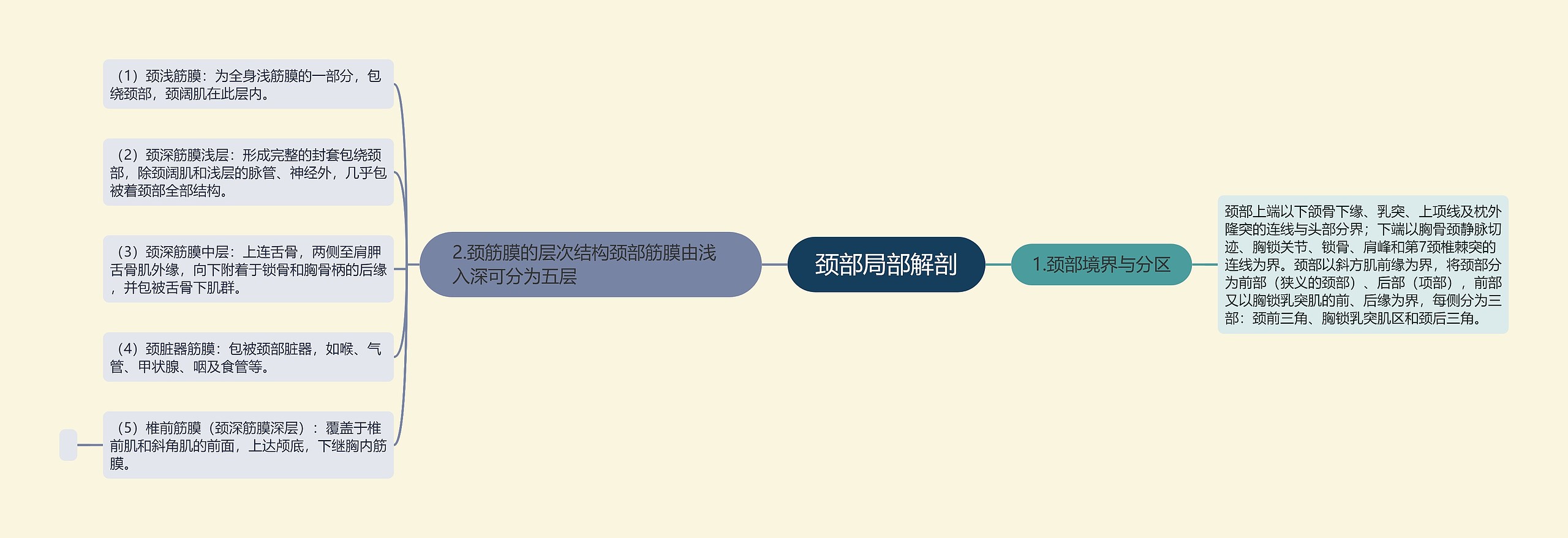 颈部局部解剖思维导图