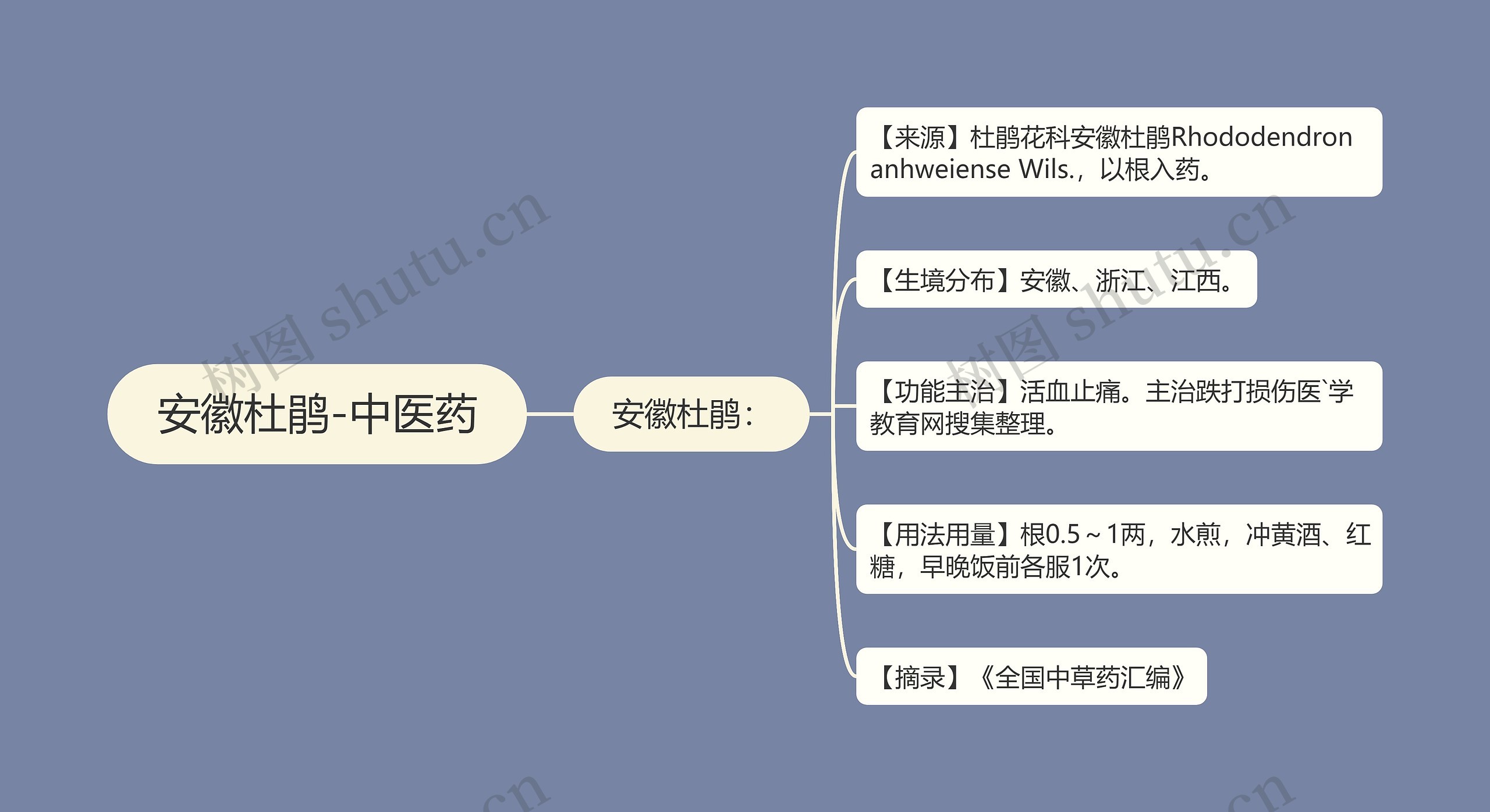 安徽杜鹃-中医药思维导图