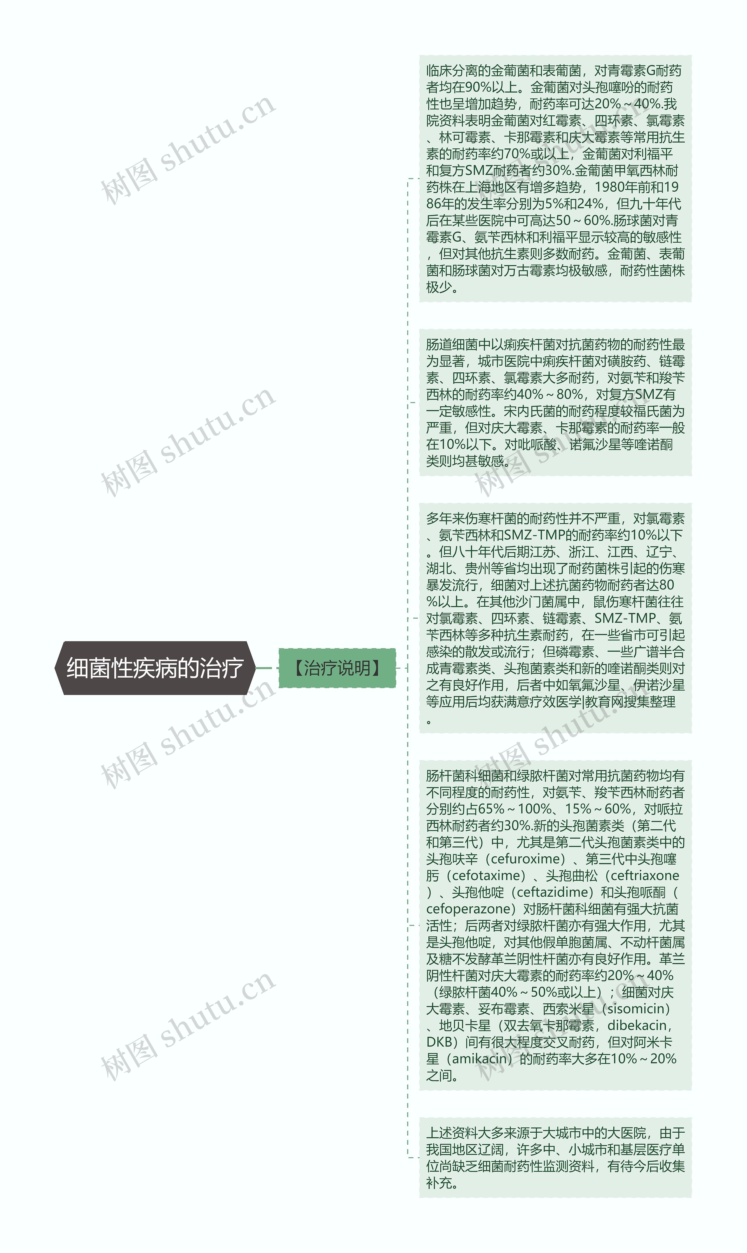 细菌性疾病的治疗思维导图