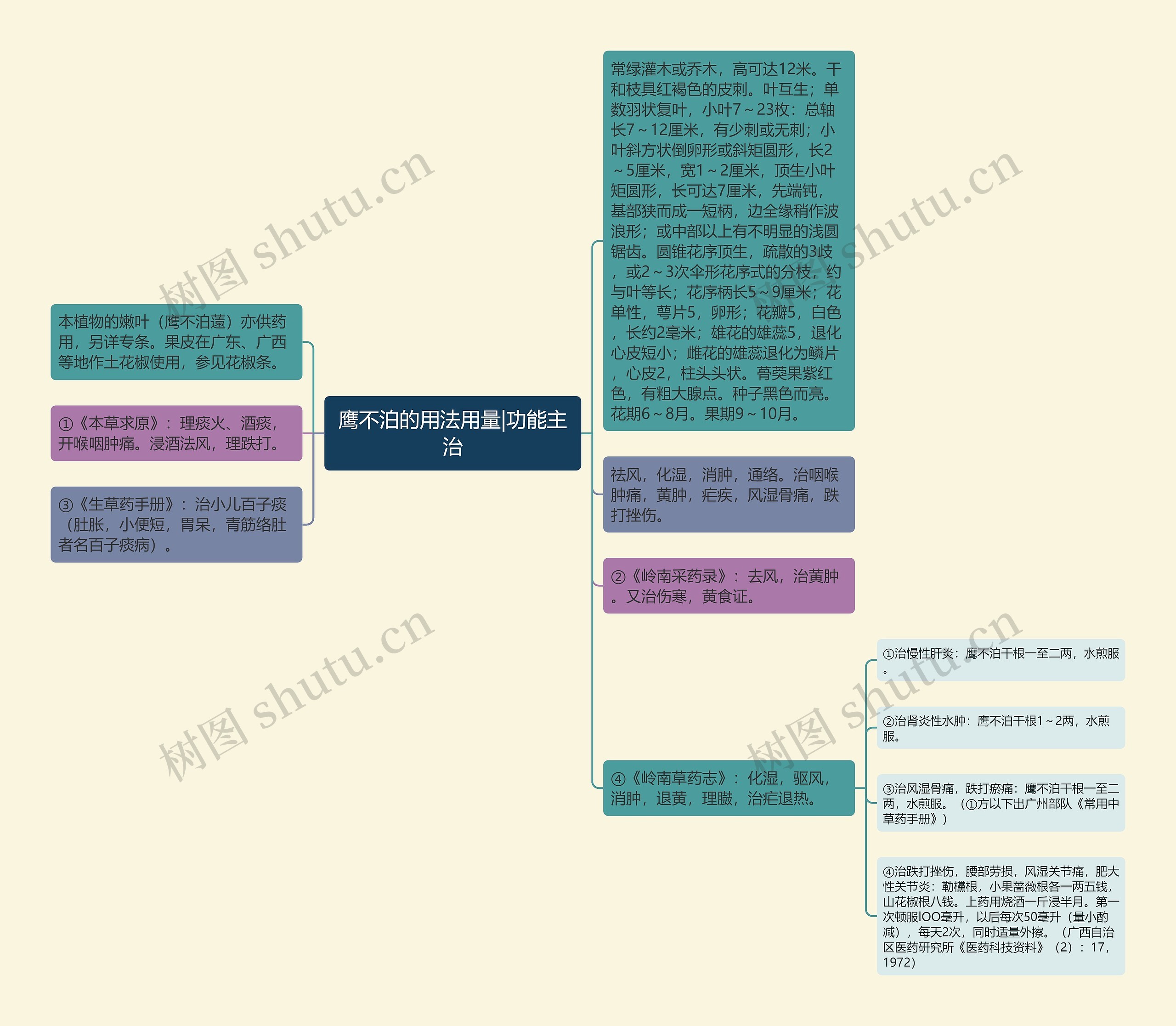 鹰不泊的用法用量|功能主治思维导图