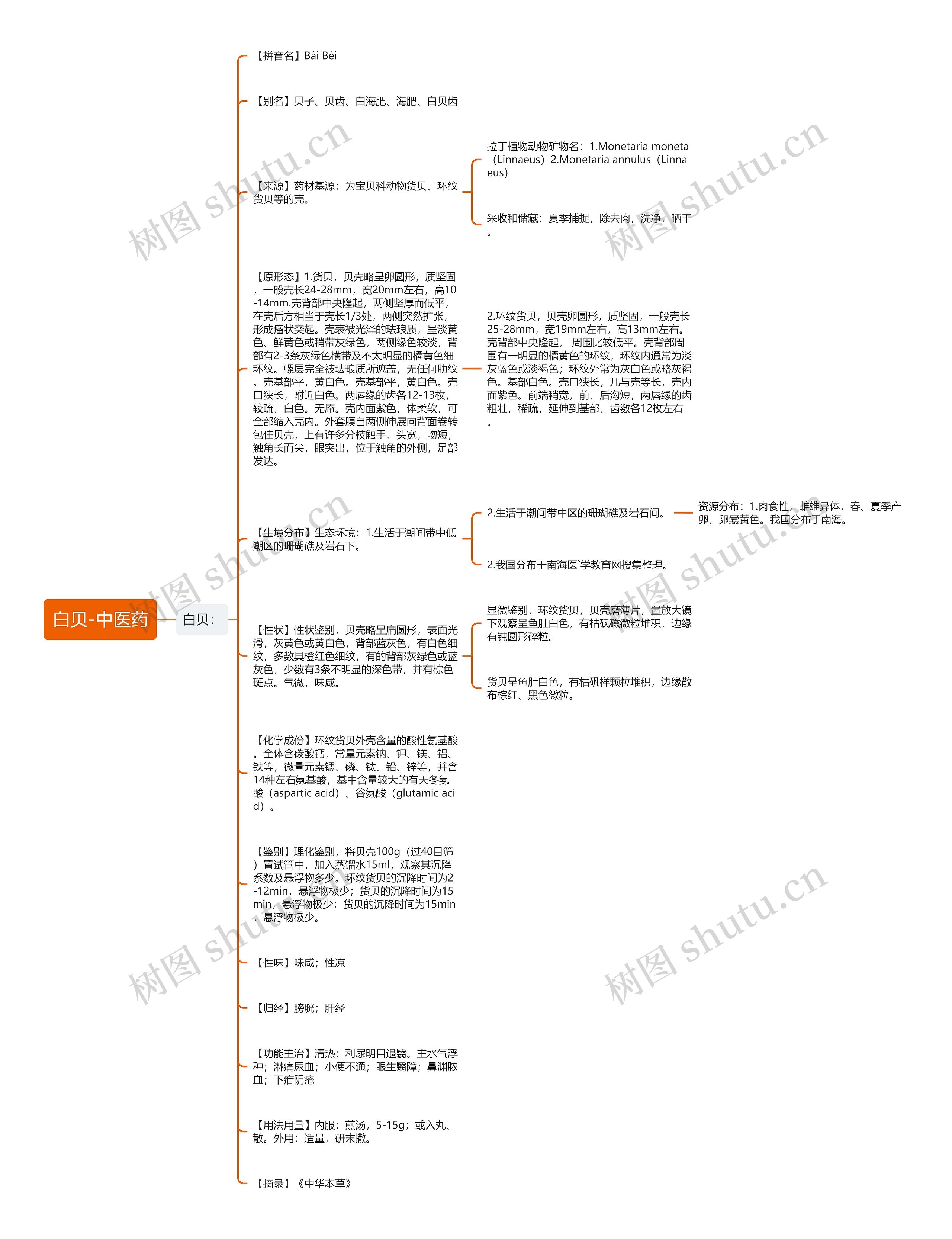 白贝-中医药思维导图