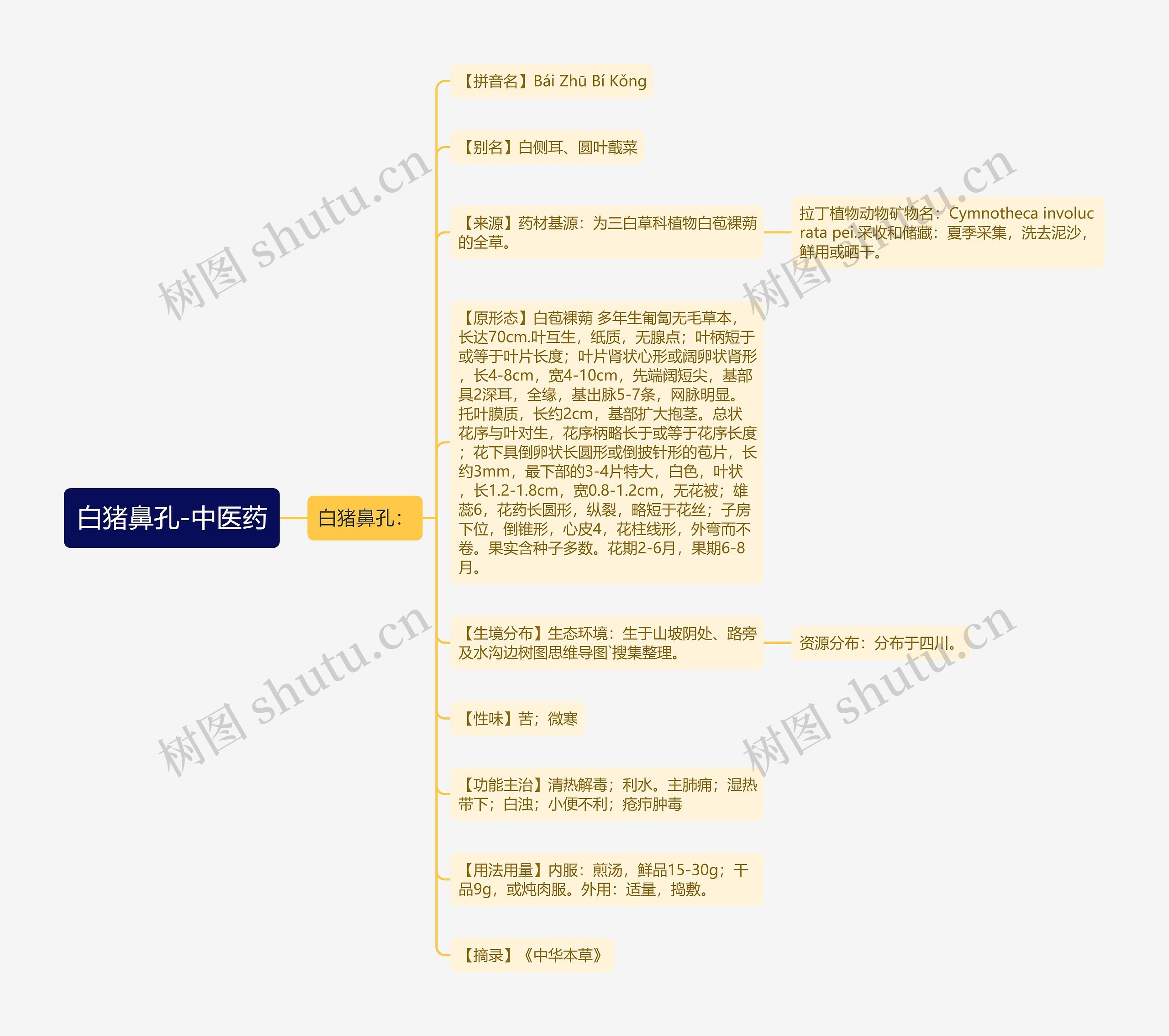 白猪鼻孔-中医药思维导图