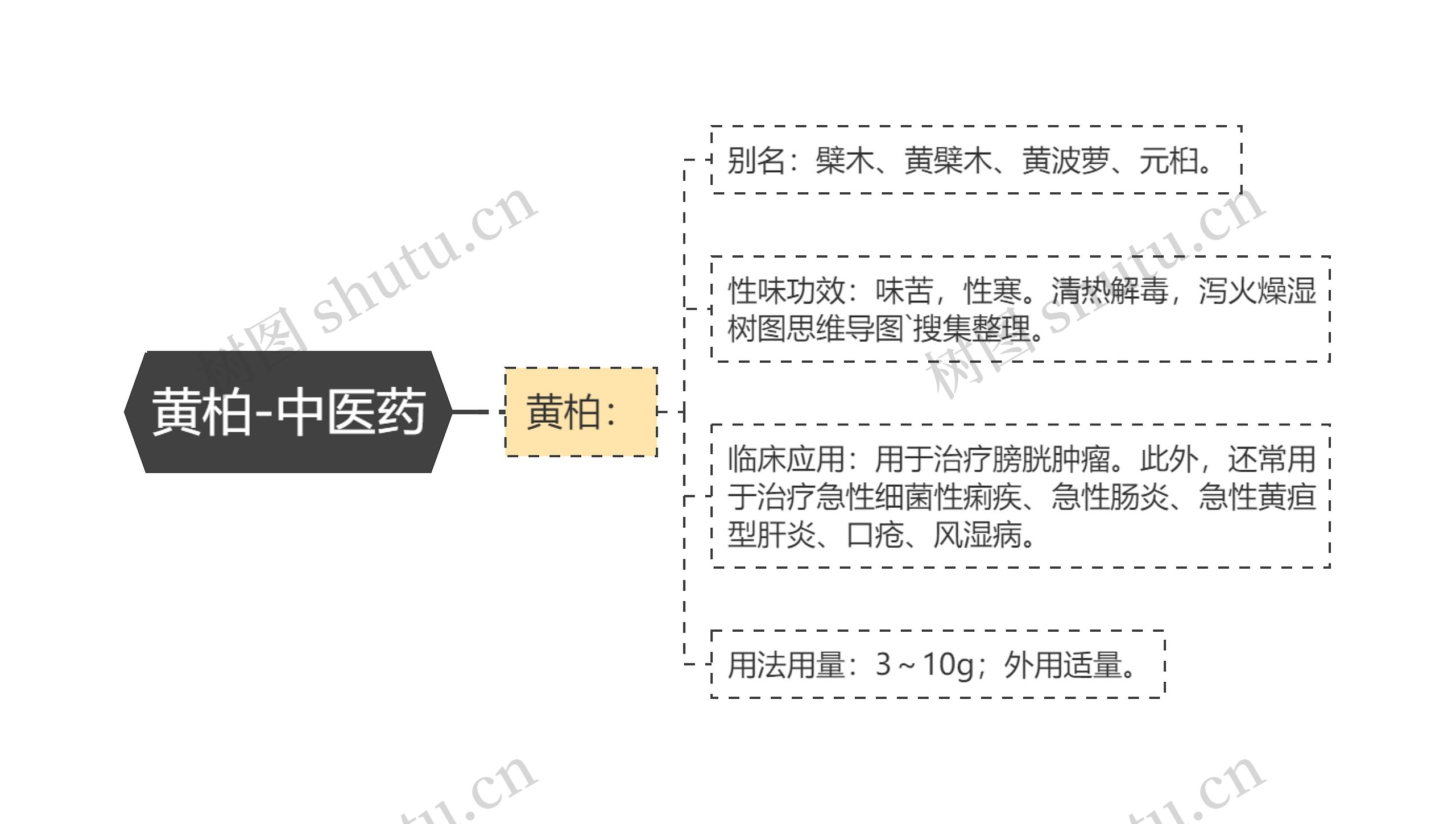 黄柏-中医药思维导图