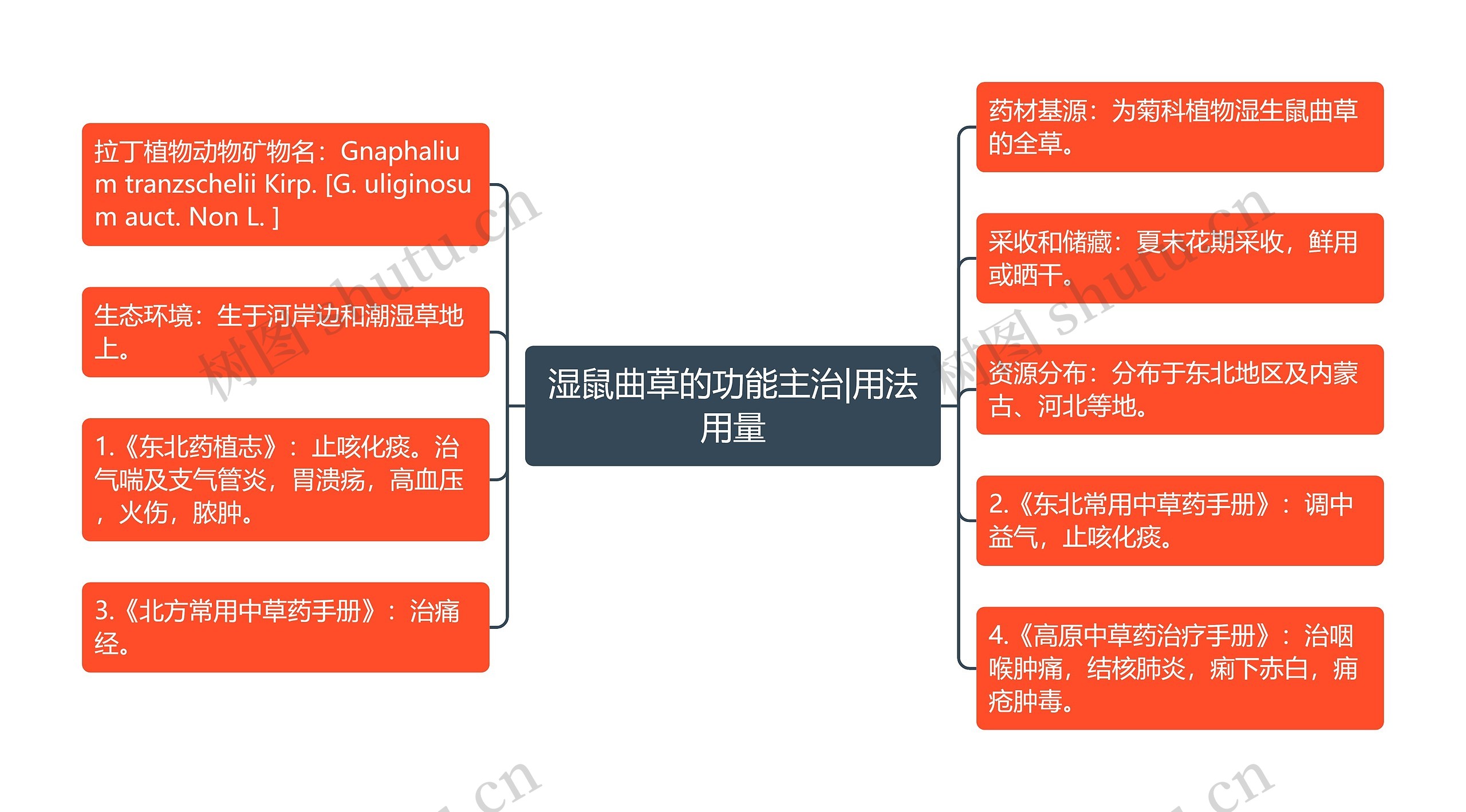 湿鼠曲草的功能主治|用法用量思维导图