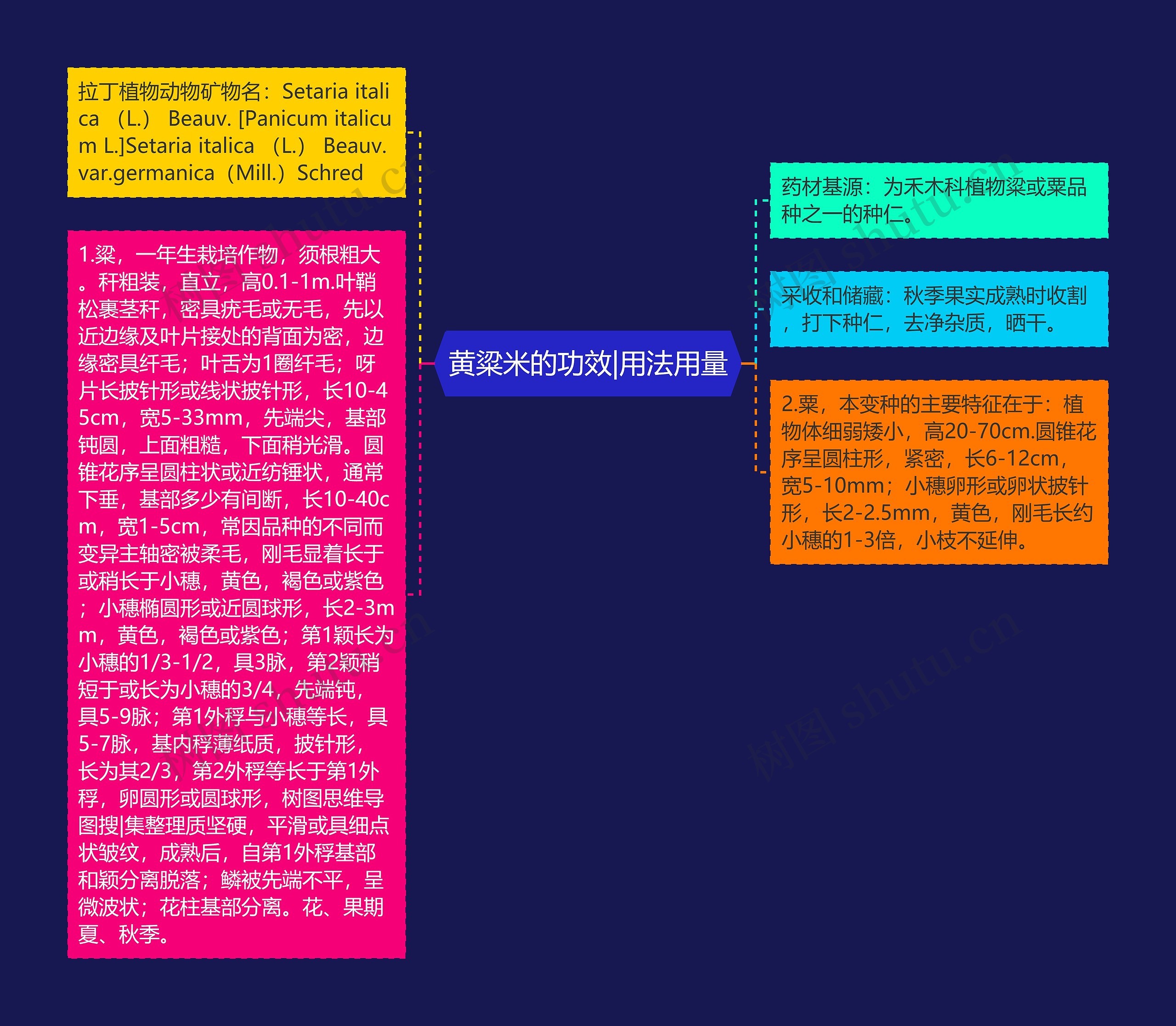 黄粱米的功效|用法用量 黄粱米的功效|用法用量