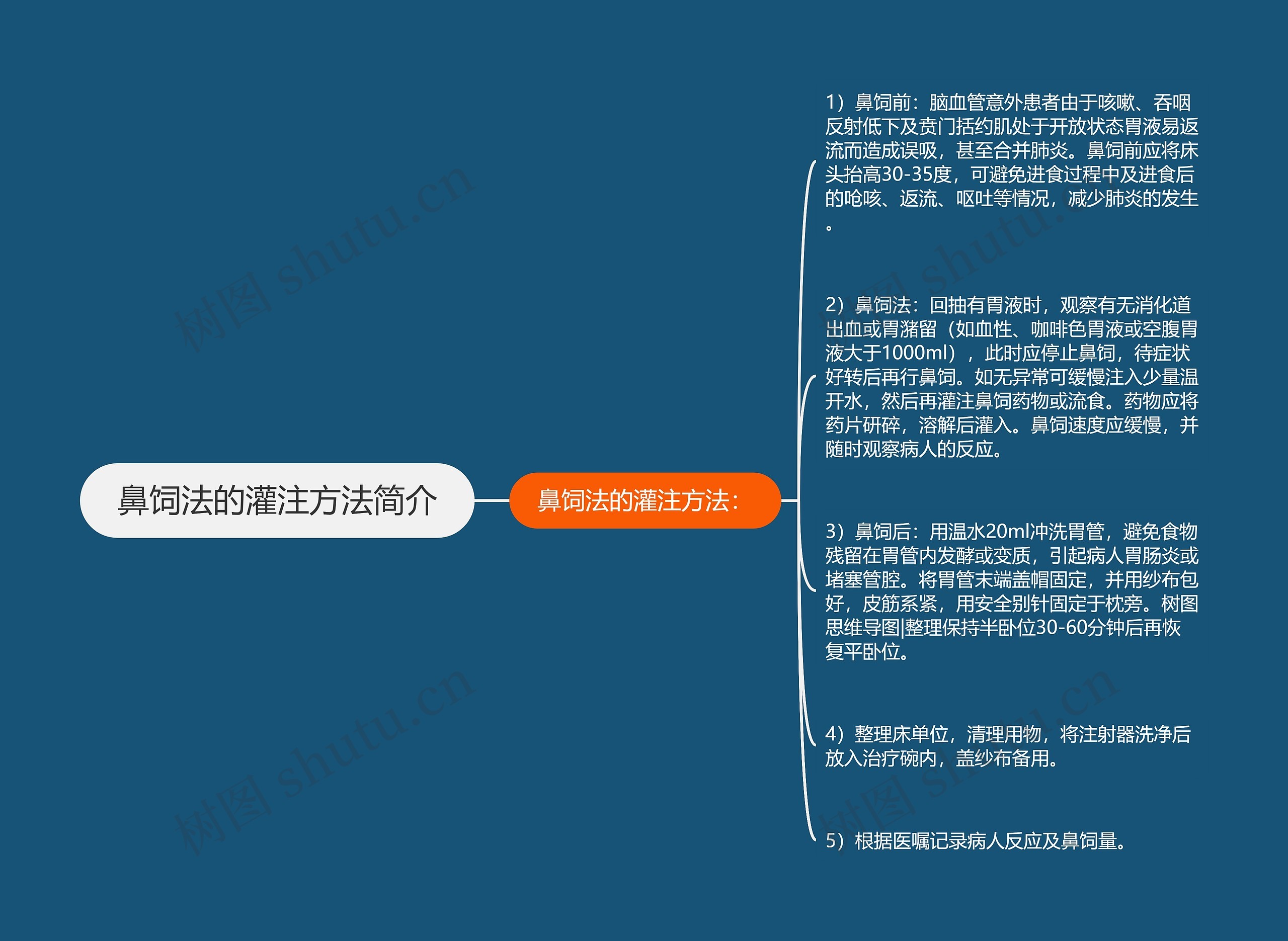 鼻饲法的灌注方法简介思维导图