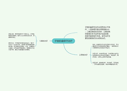 子宫肌瘤保守治疗