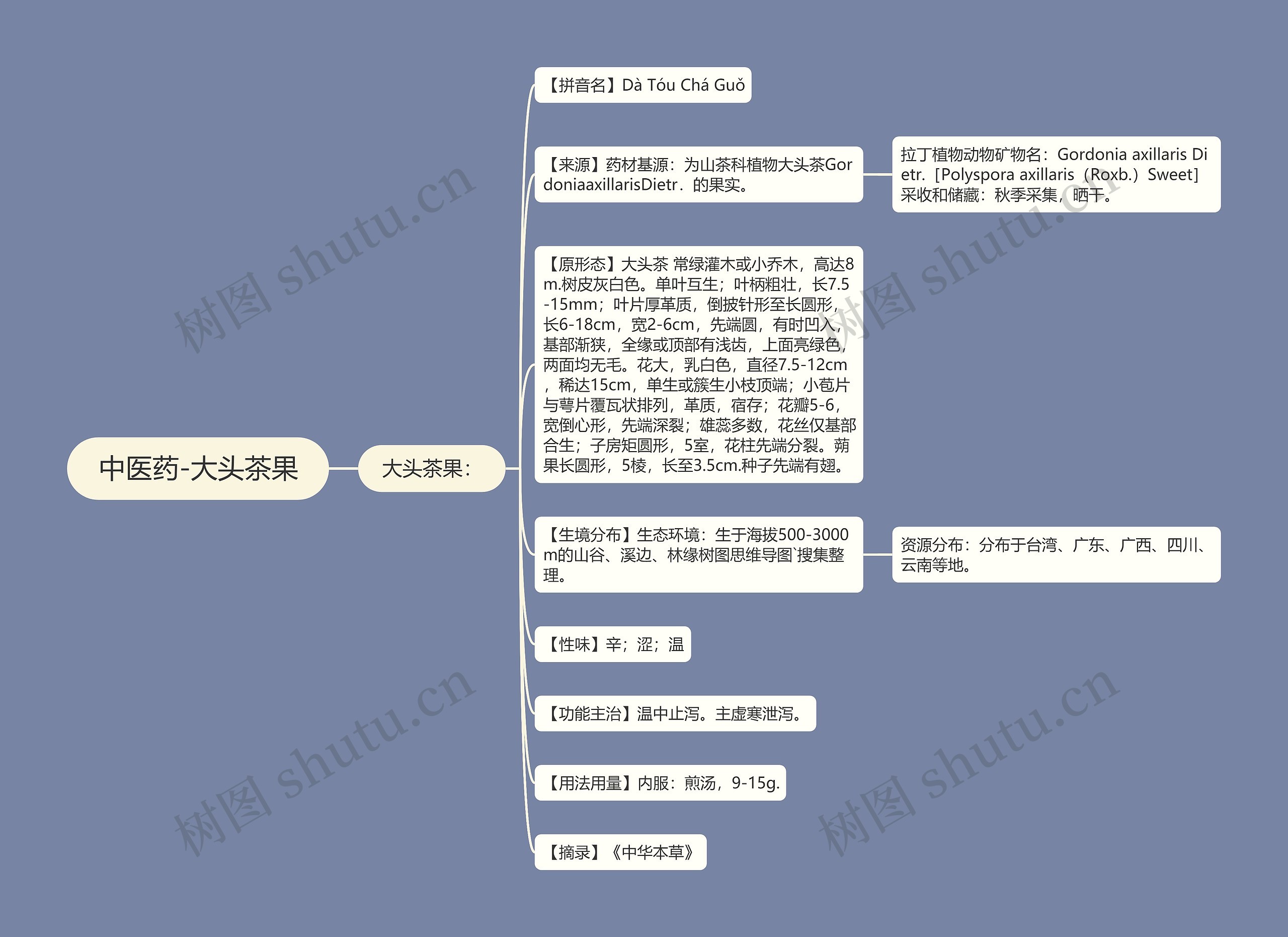 中医药-大头茶果思维导图