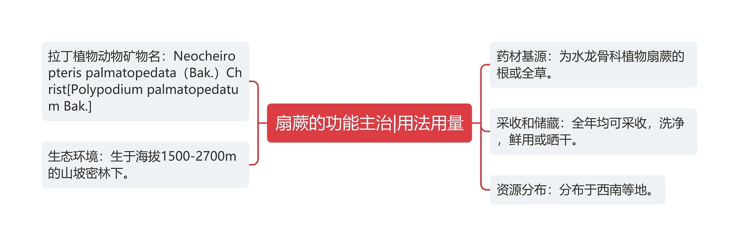 扇蕨的功能主治|用法用量 扇蕨的功能主治|用法用量