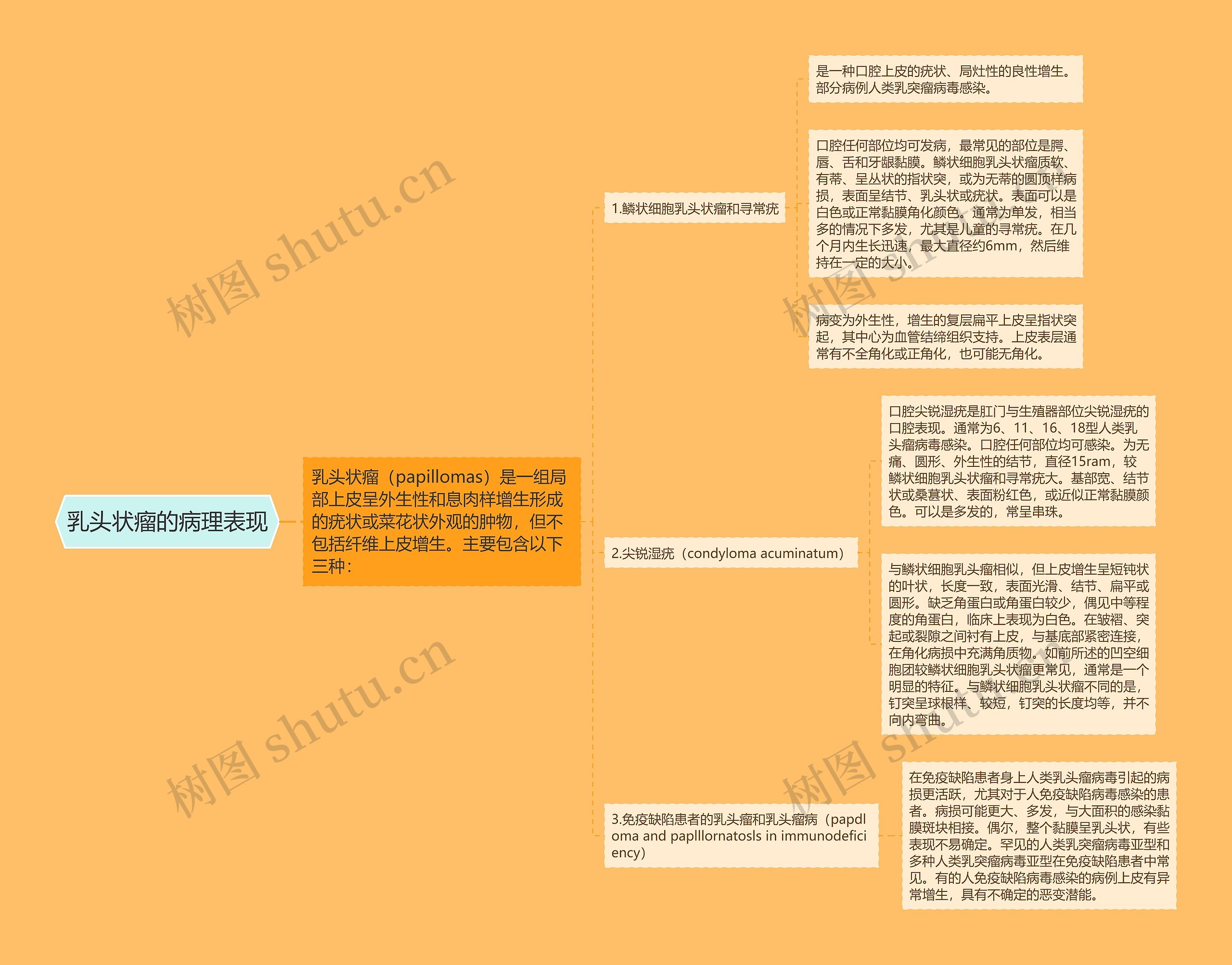 乳头状瘤的病理表现思维导图