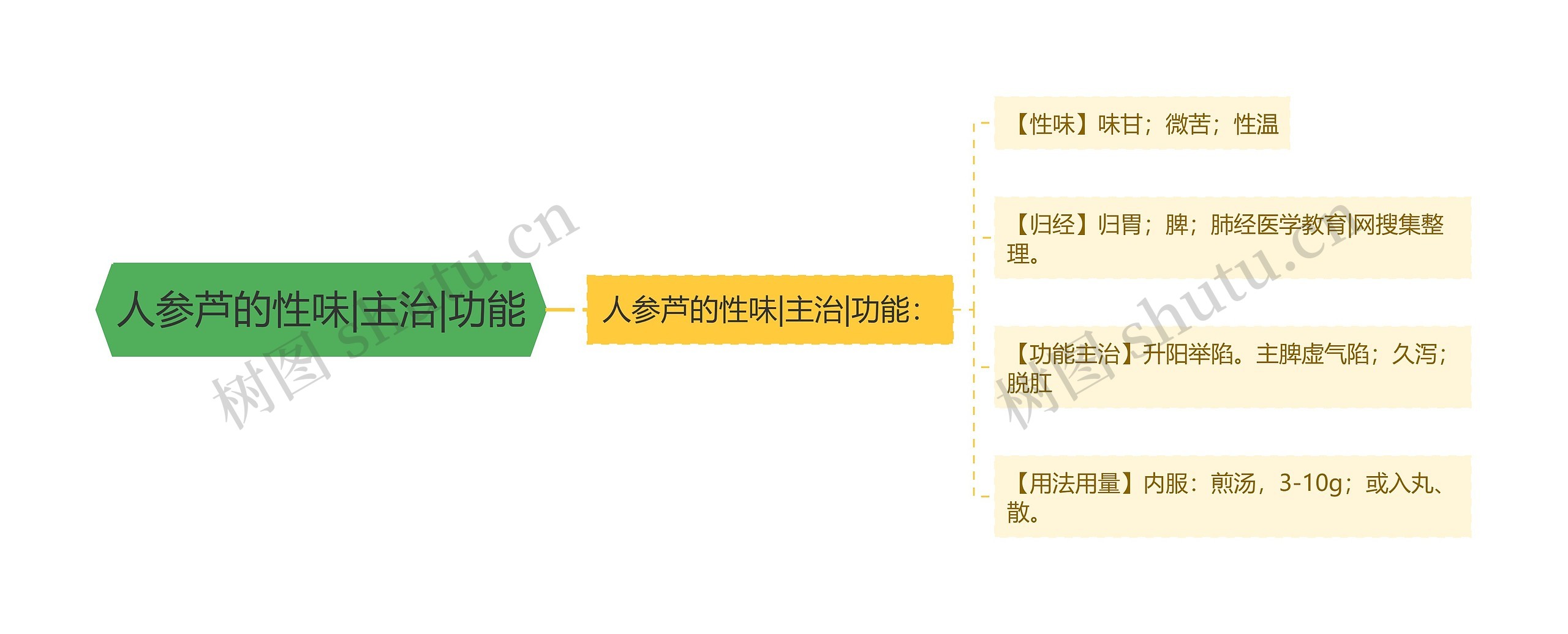 人参芦的性味|主治|功能思维导图