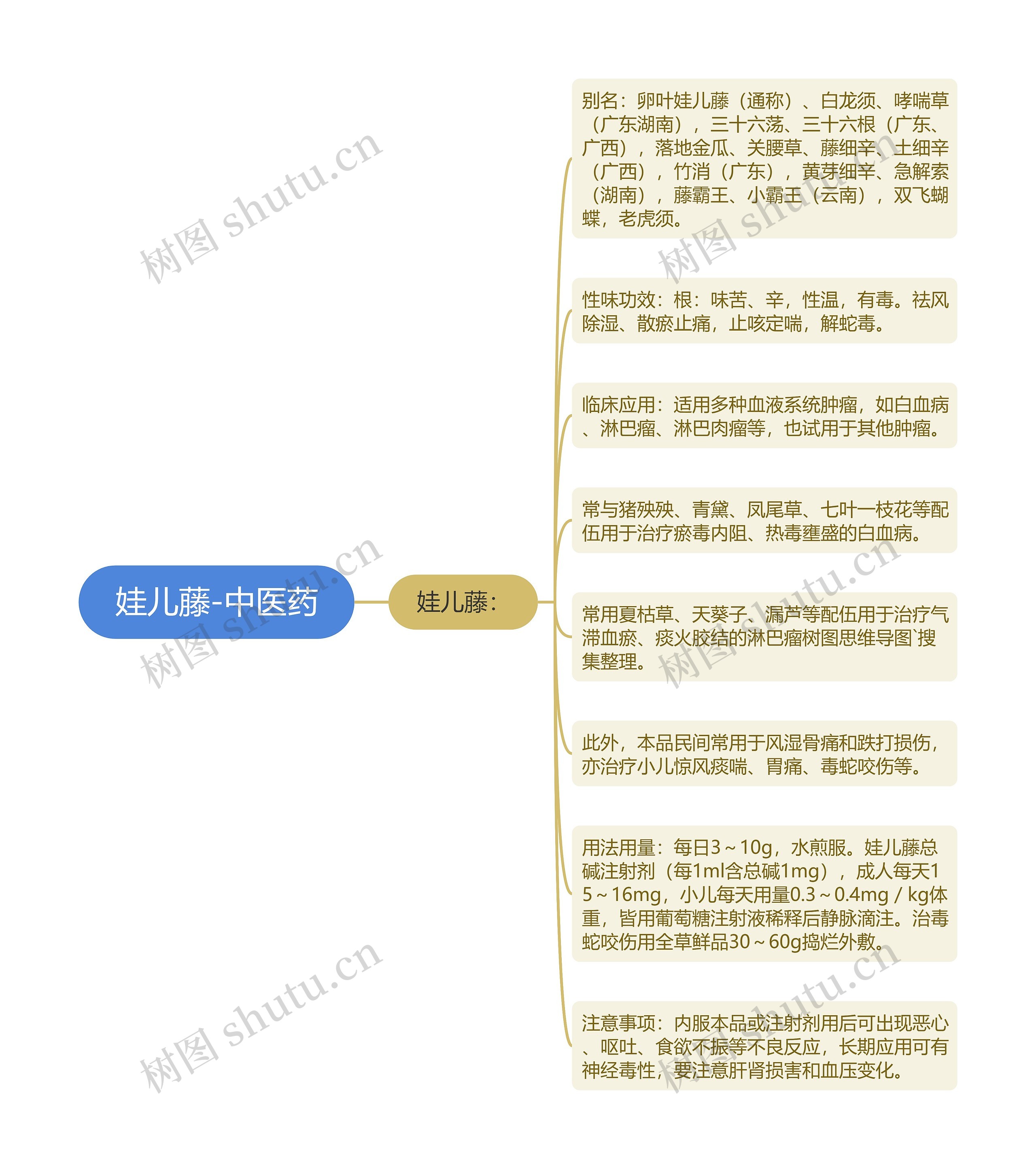 娃儿藤-中医药 娃儿藤-中医药