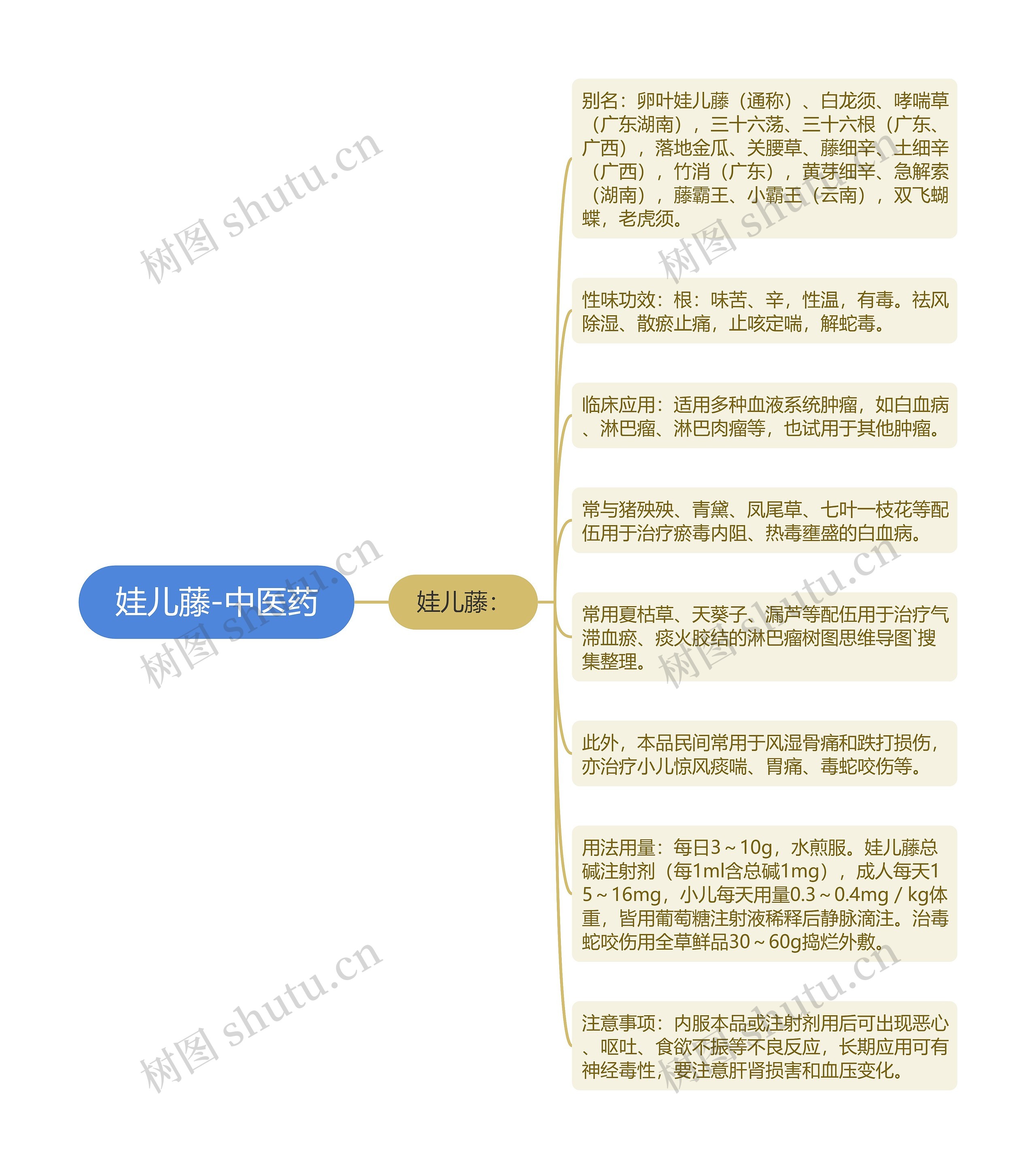 娃儿藤-中医药思维导图