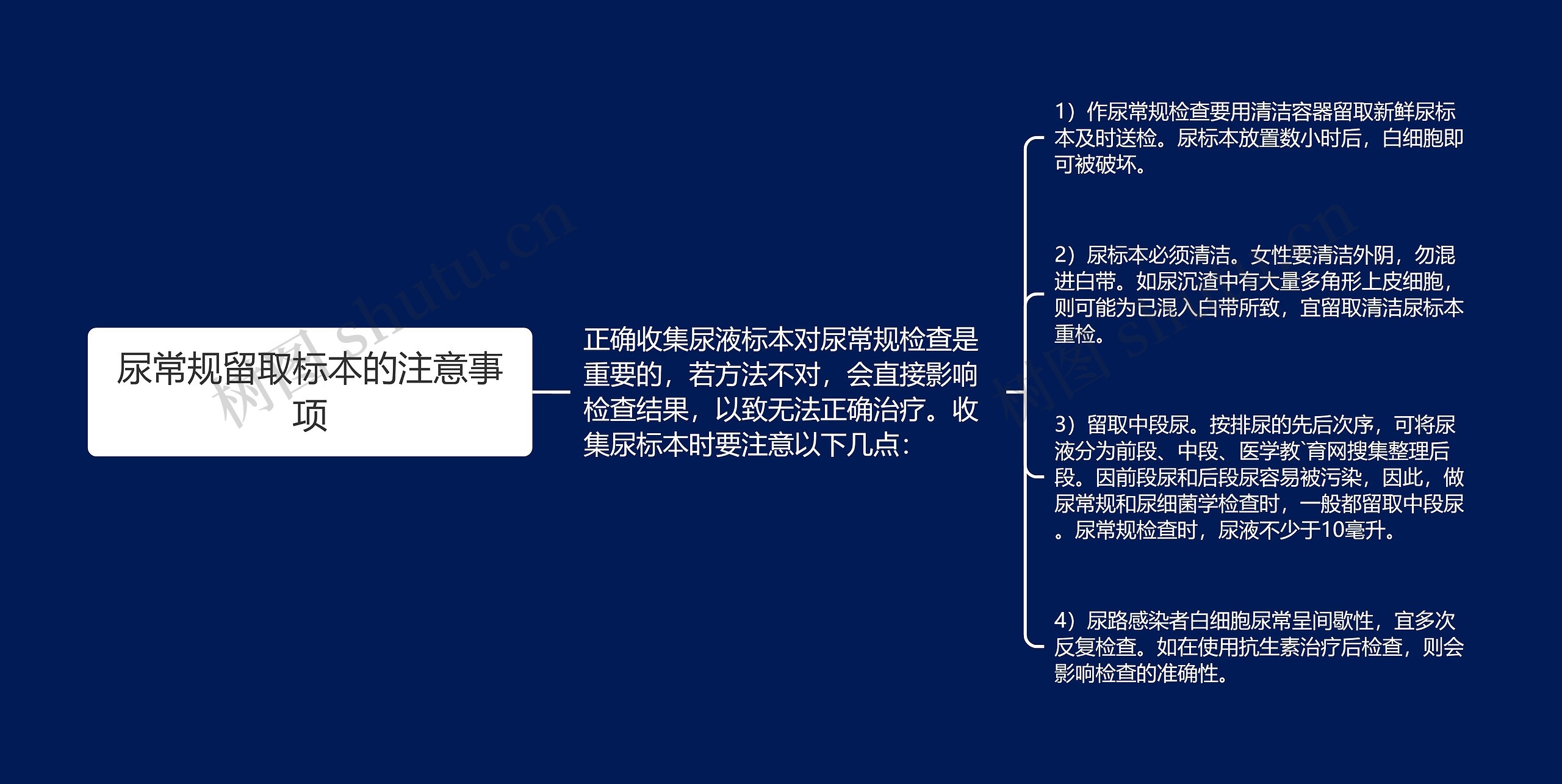 尿常规留取标本的注意事项 尿常规留取标本的注意事项