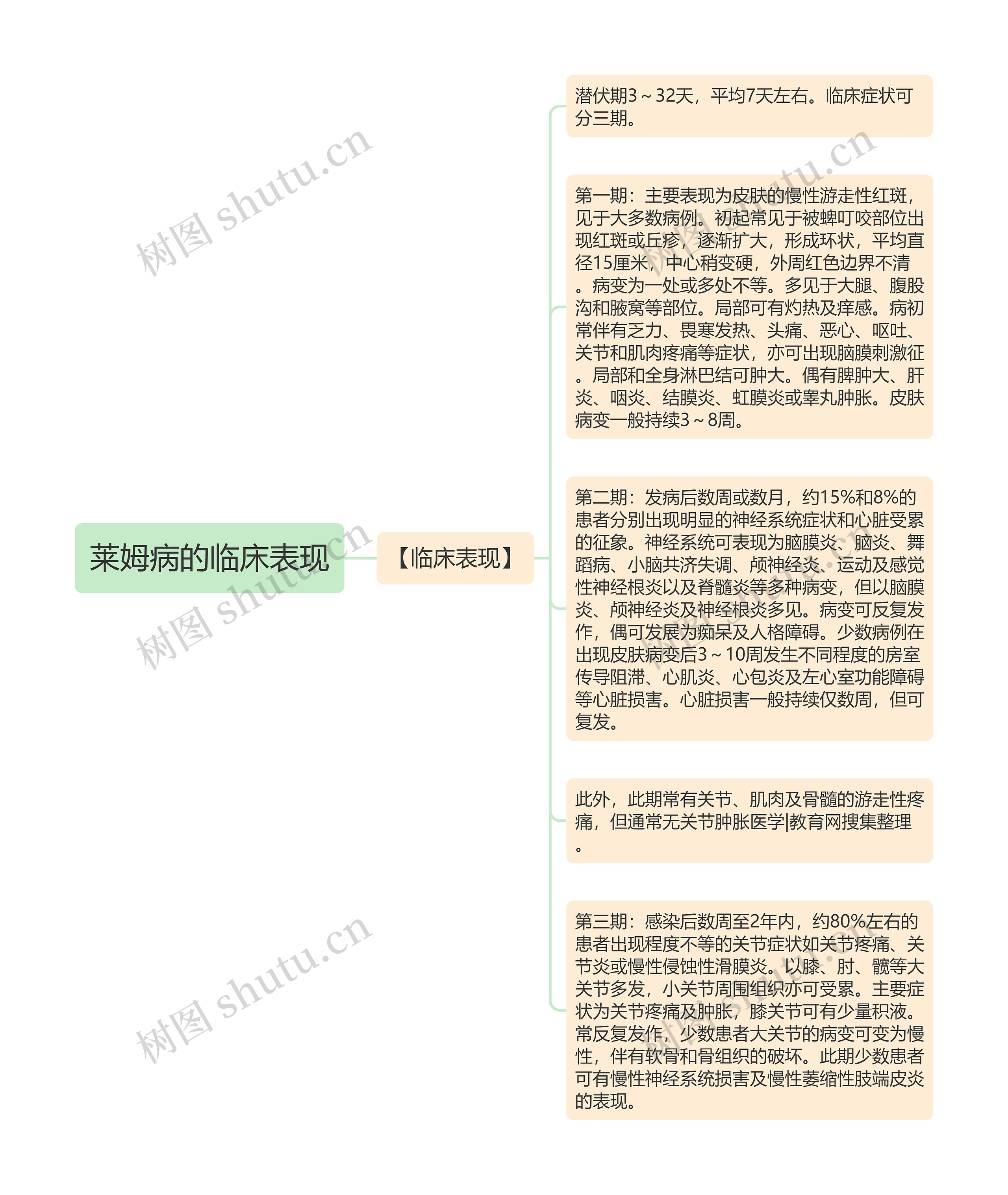 莱姆病的临床表现
