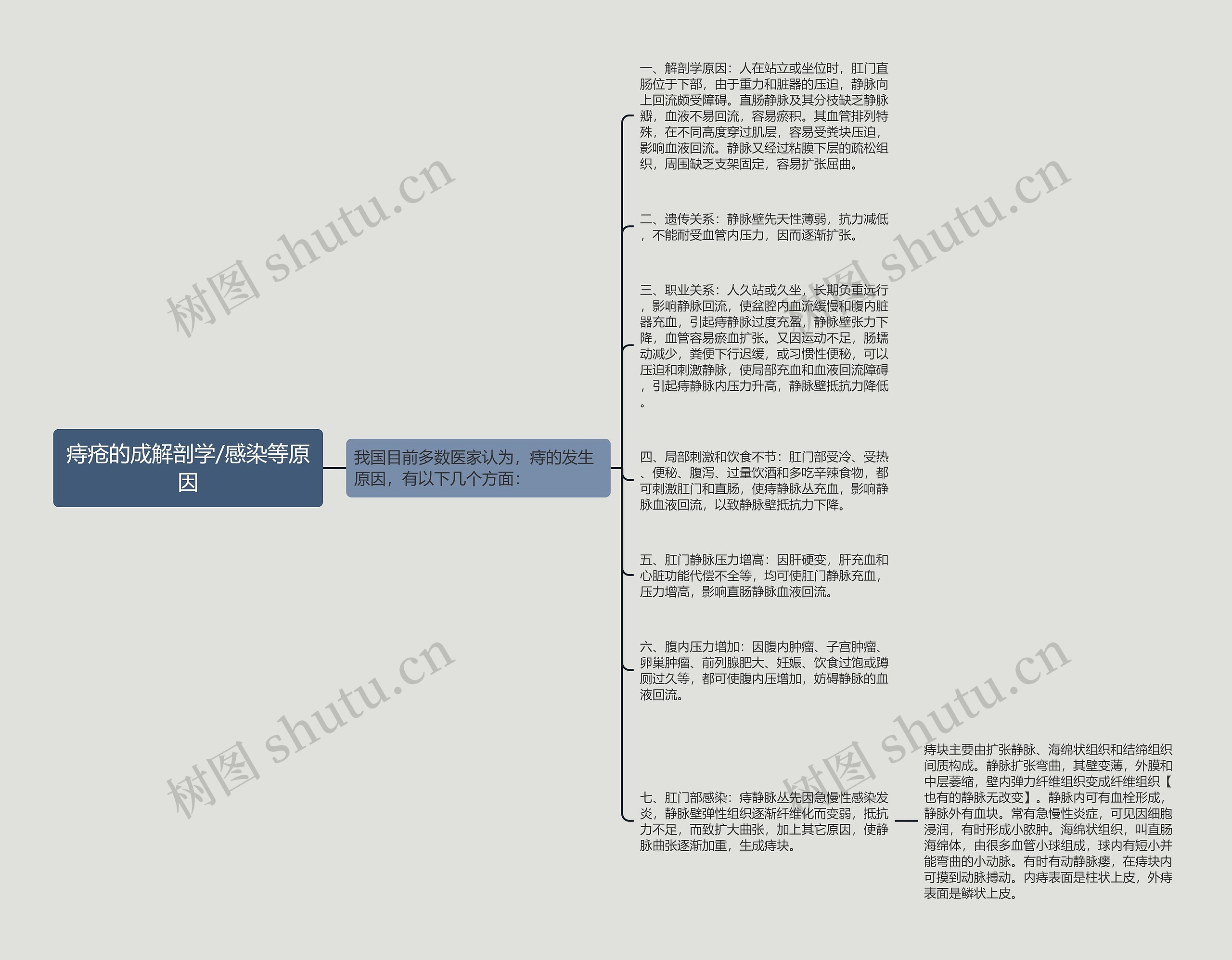 痔疮的成解剖学/感染等原因思维导图