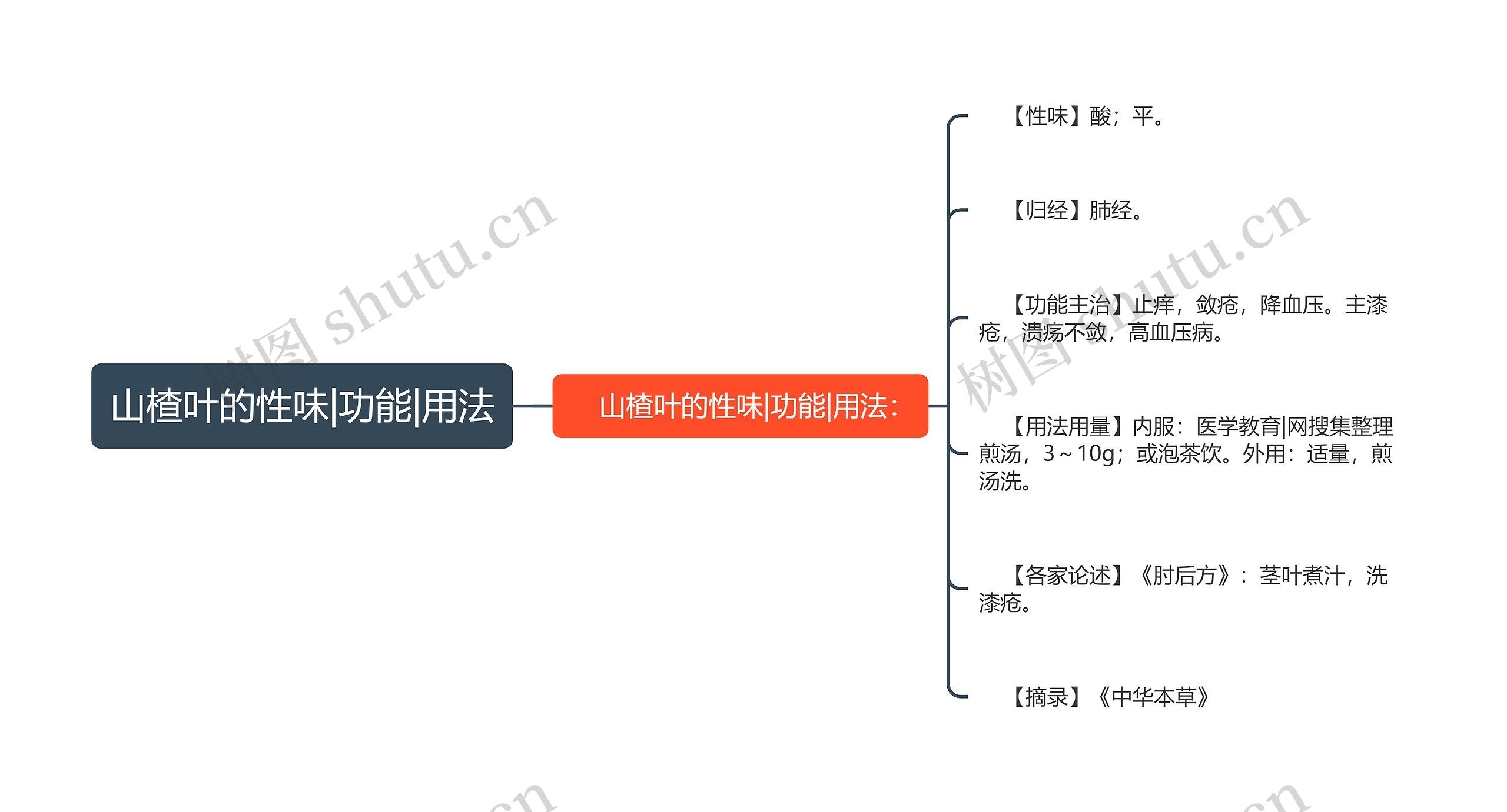 山楂叶的性味|功能|用法思维导图