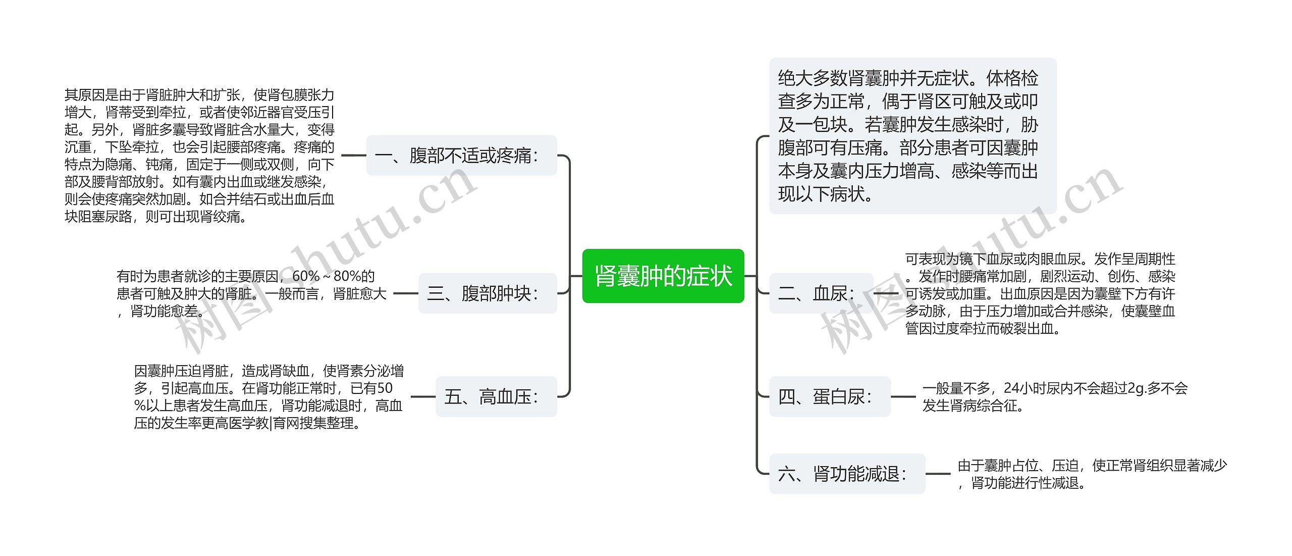 肾囊肿的症状思维导图