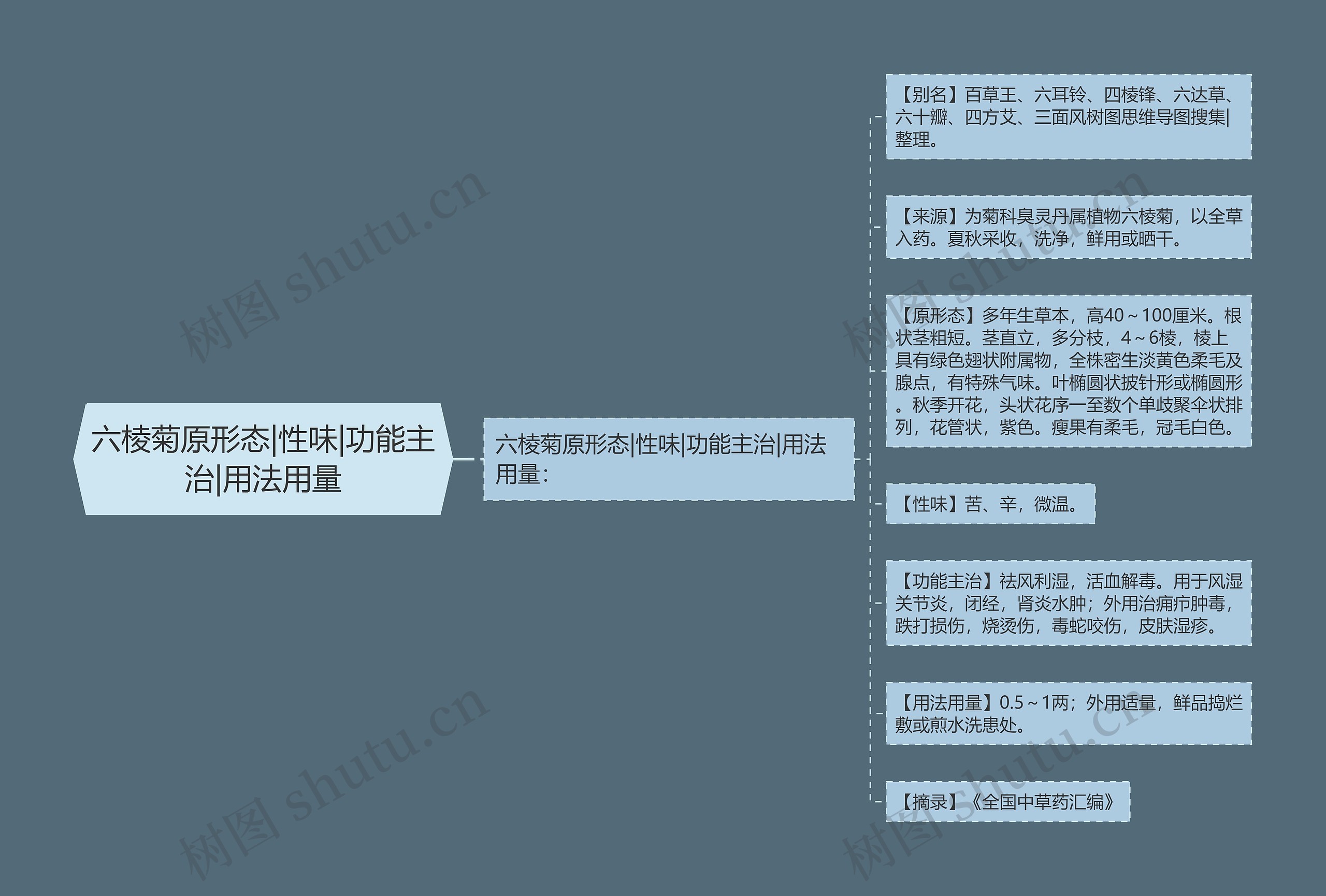 六棱菊原形态|性味|功能主治|用法用量思维导图