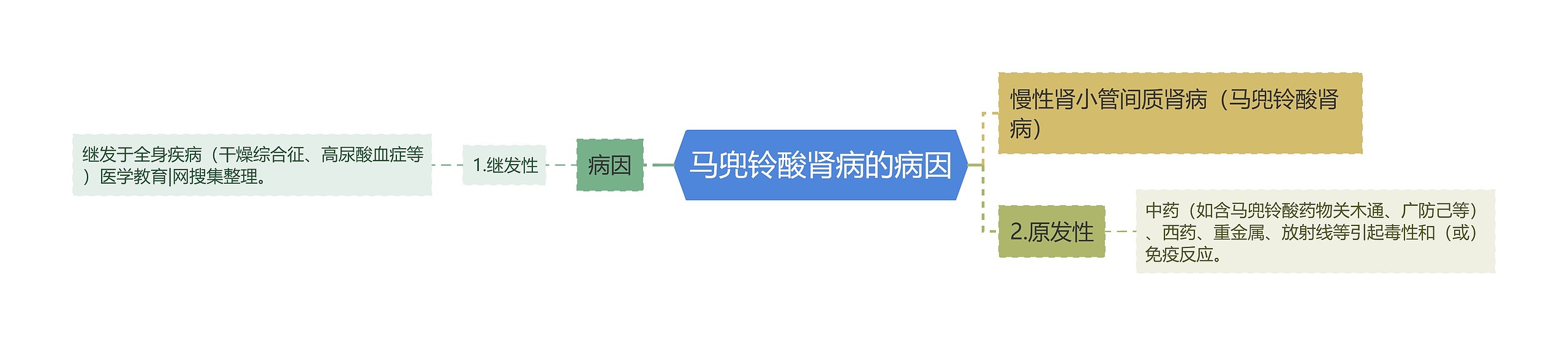 马兜铃酸肾病的病因 马兜铃酸肾病的病因