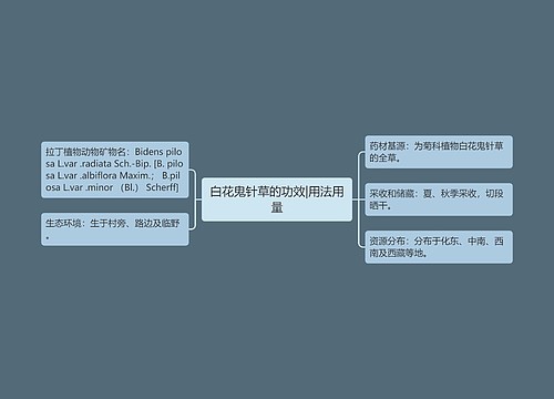 白花鬼针草的功效|用法用量