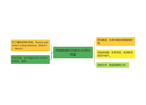 西藏酸模的功能主治|用法用量