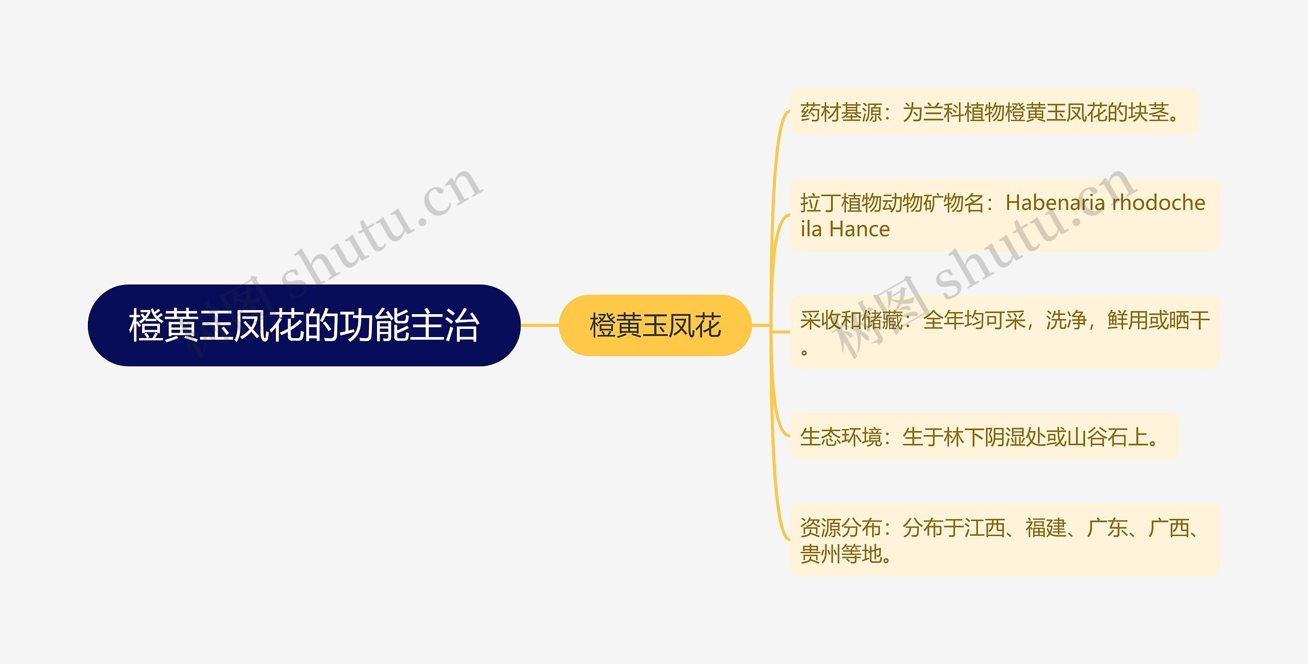 橙黄玉凤花的功能主治思维导图