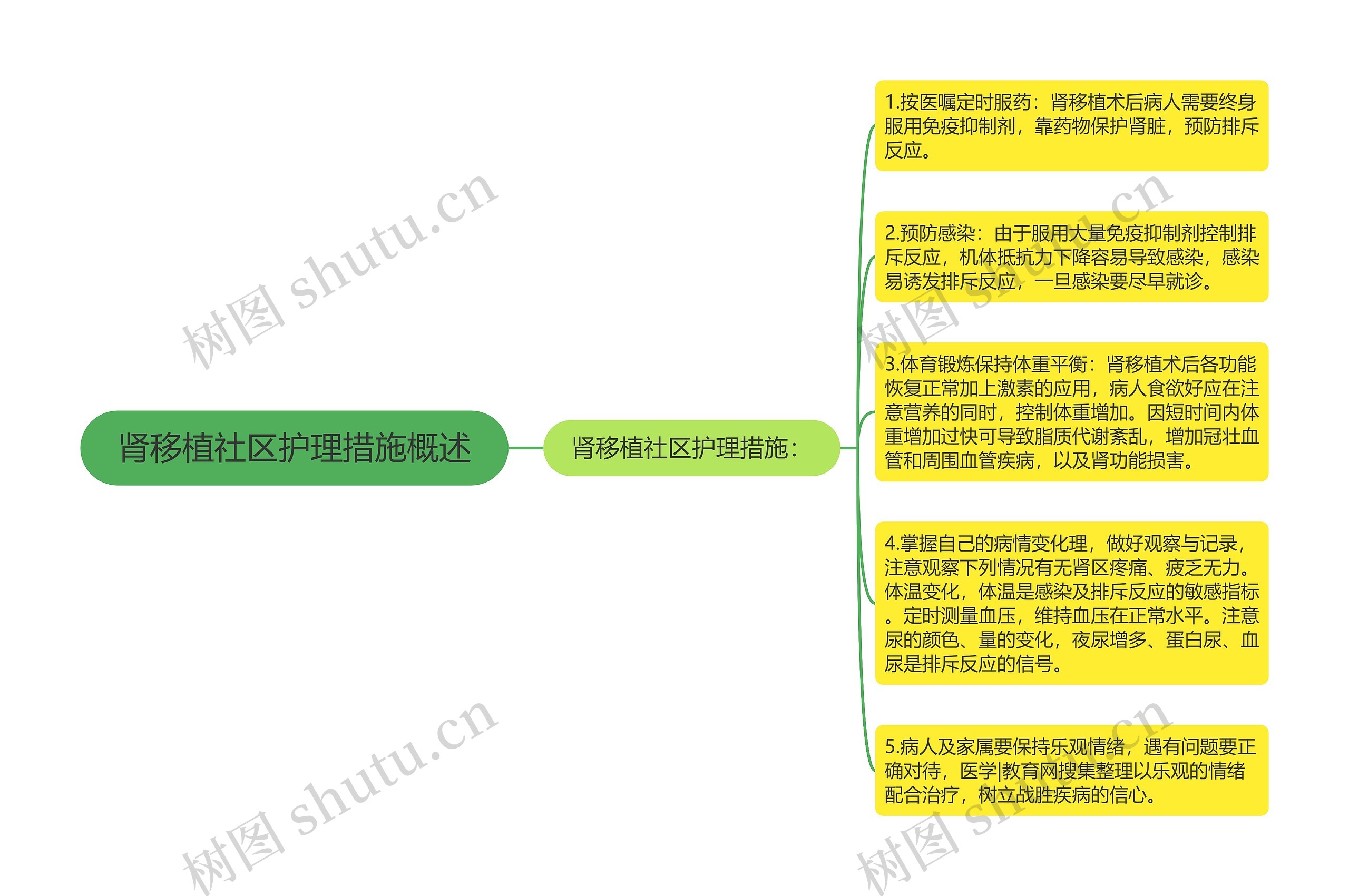 肾移植社区护理措施概述思维导图