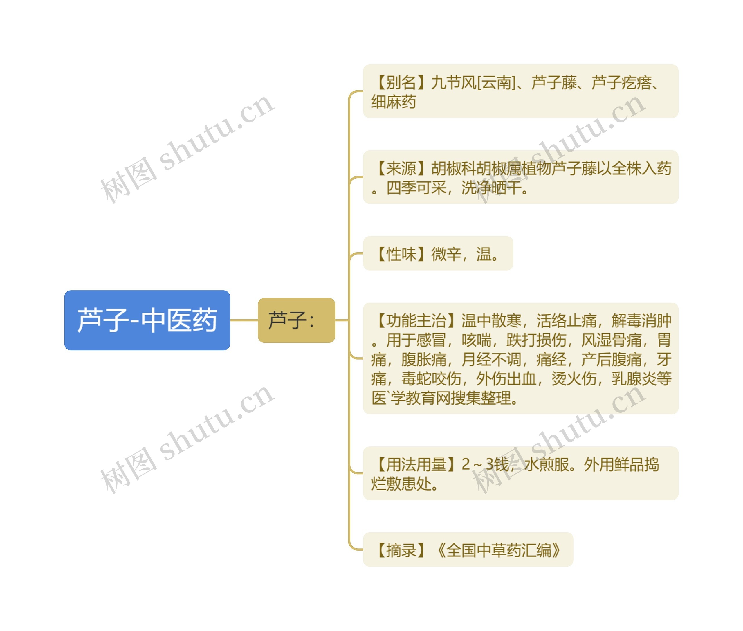 芦子-中医药思维导图