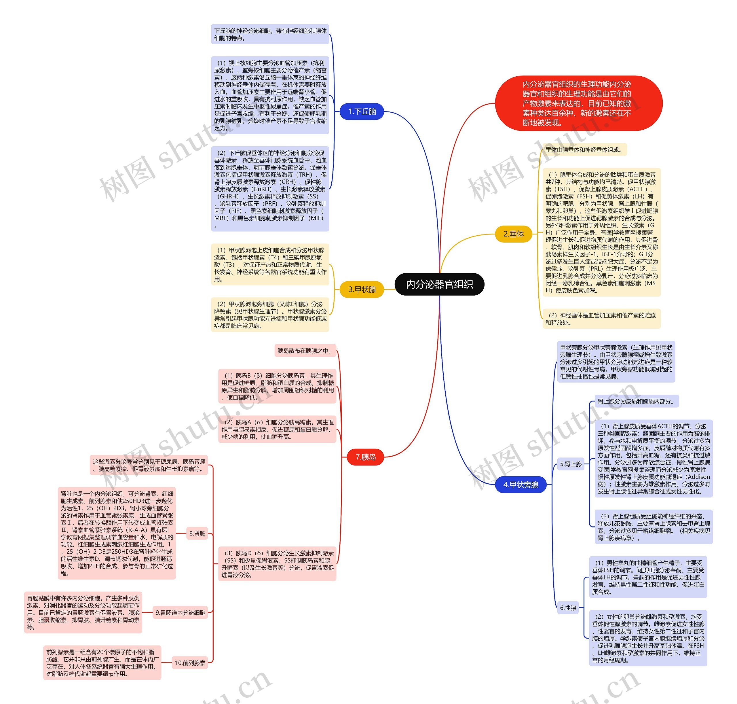 内分泌器官组织思维导图