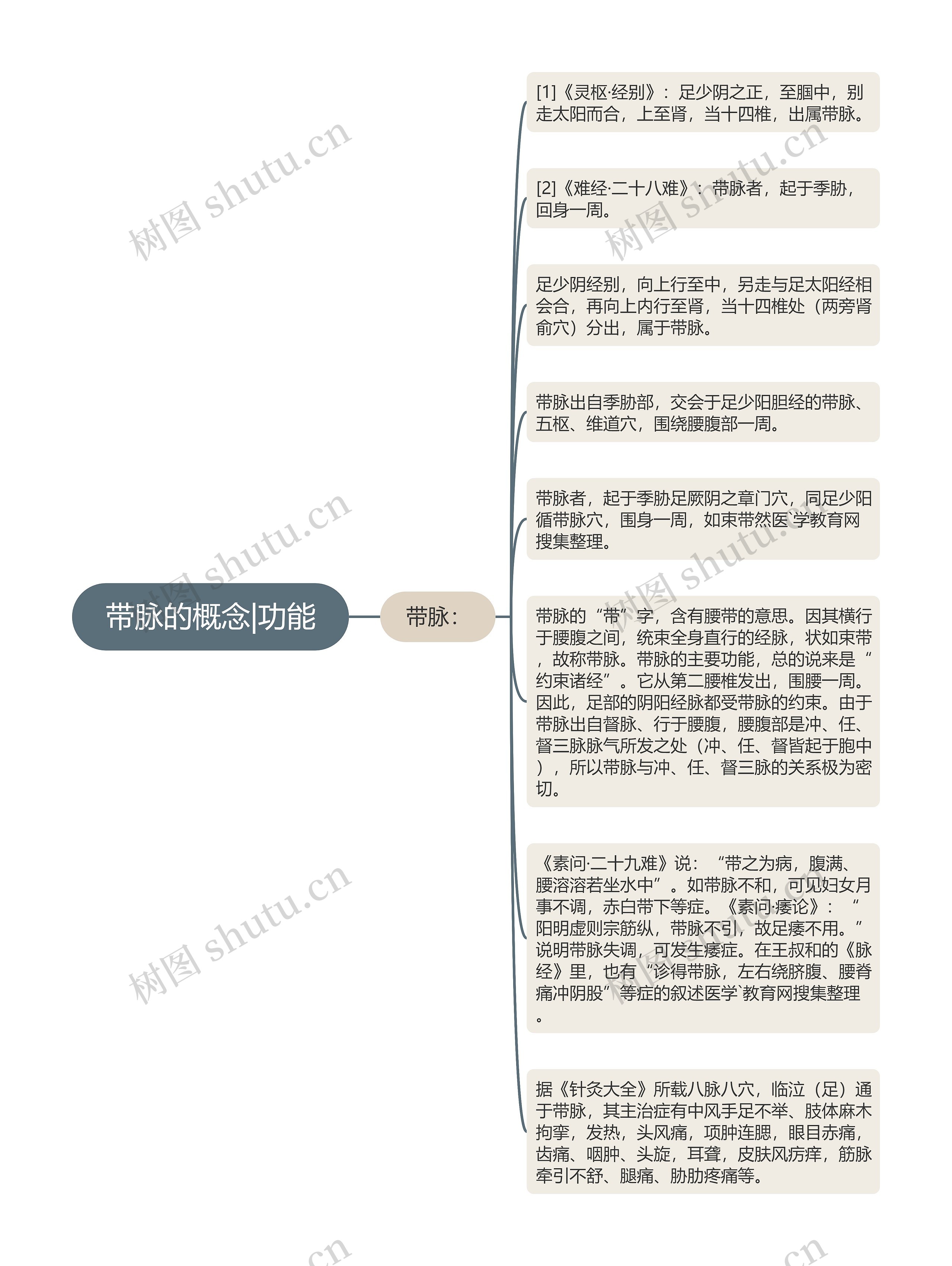 带脉的概念|功能思维导图