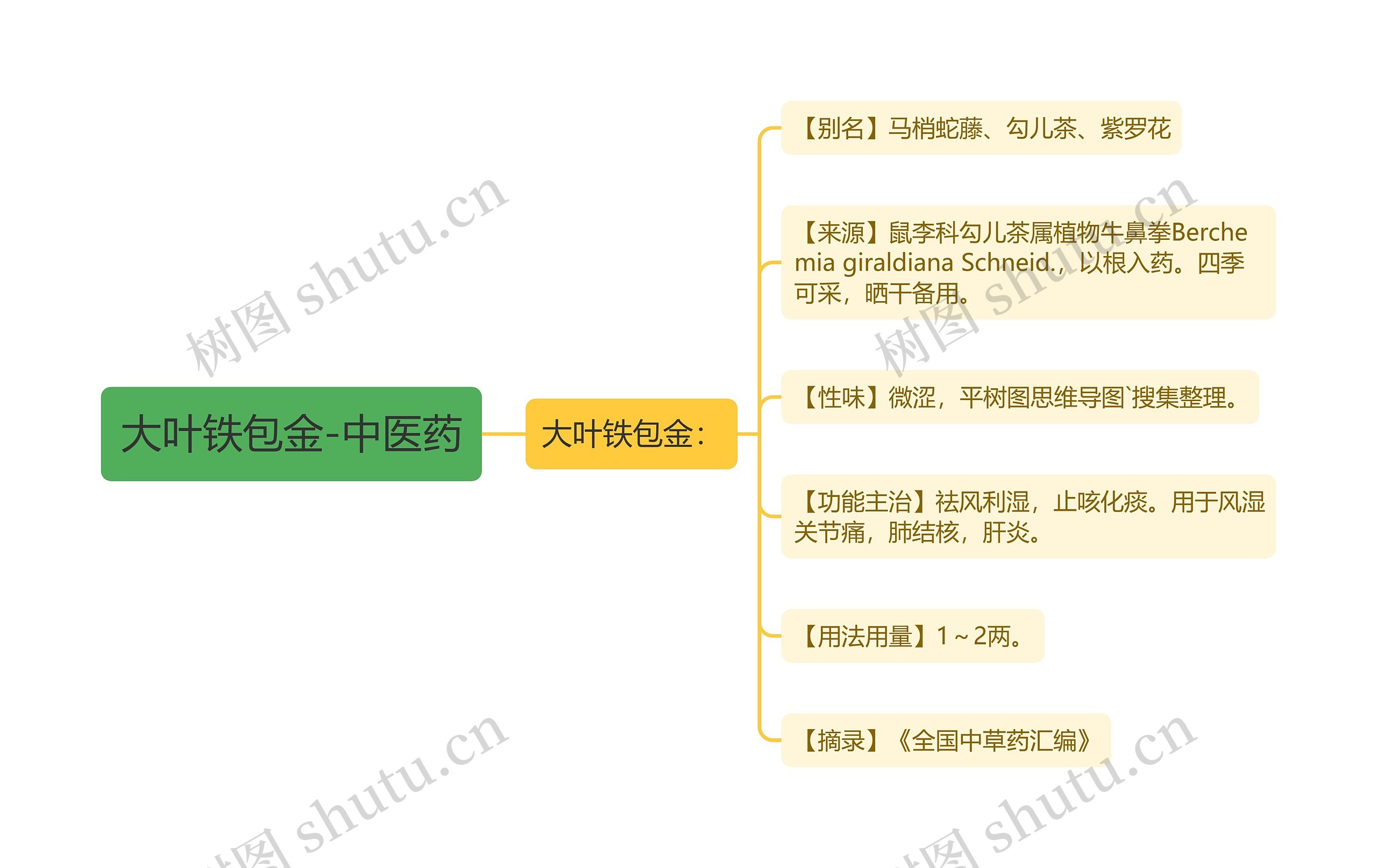 大叶铁包金-中医药思维导图