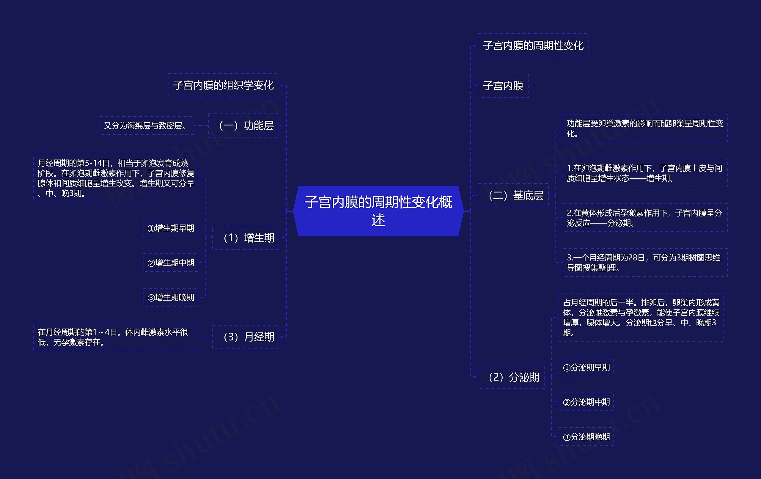 子宫内膜的周期性变化概述思维导图