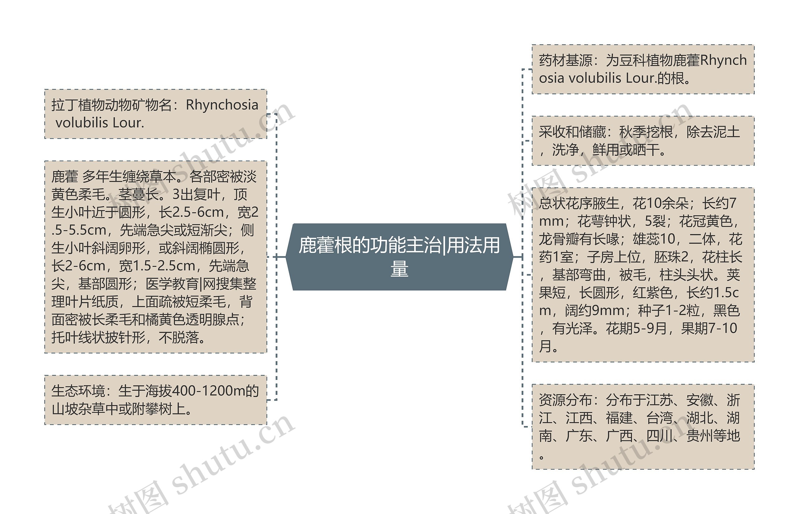 鹿藿根的功能主治|用法用量思维导图